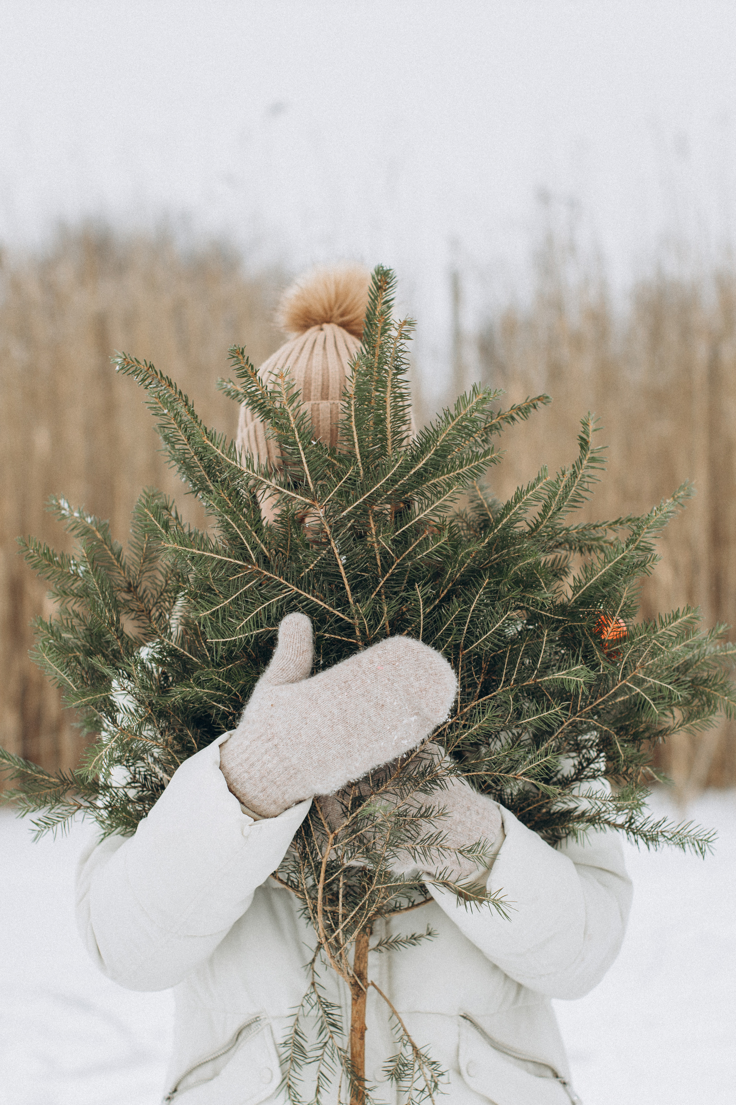 Завтра Новий Рік. Портретний і сімейний фотограф Київ