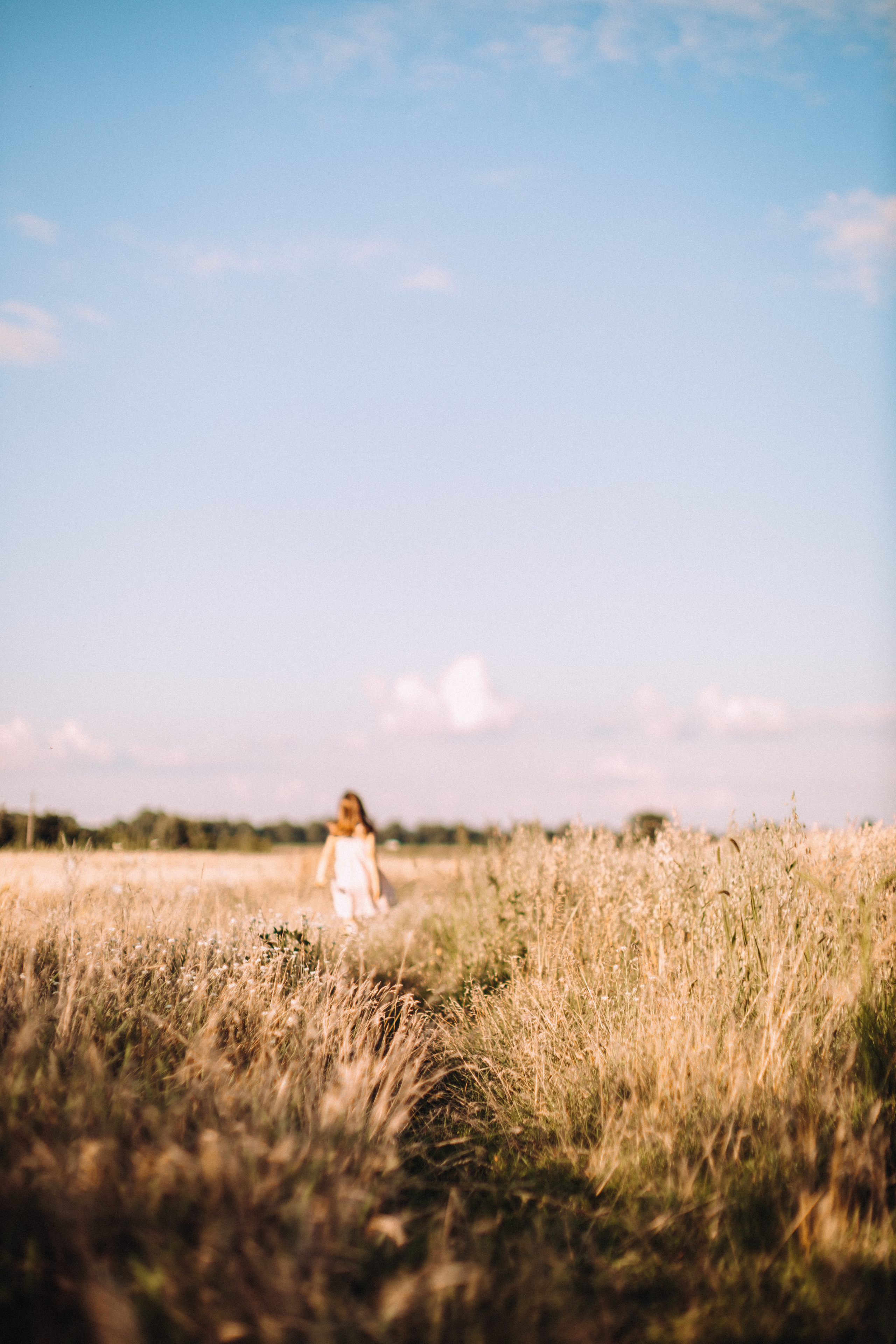 Sunflowers. Портретний і сімейний фотограф Київ