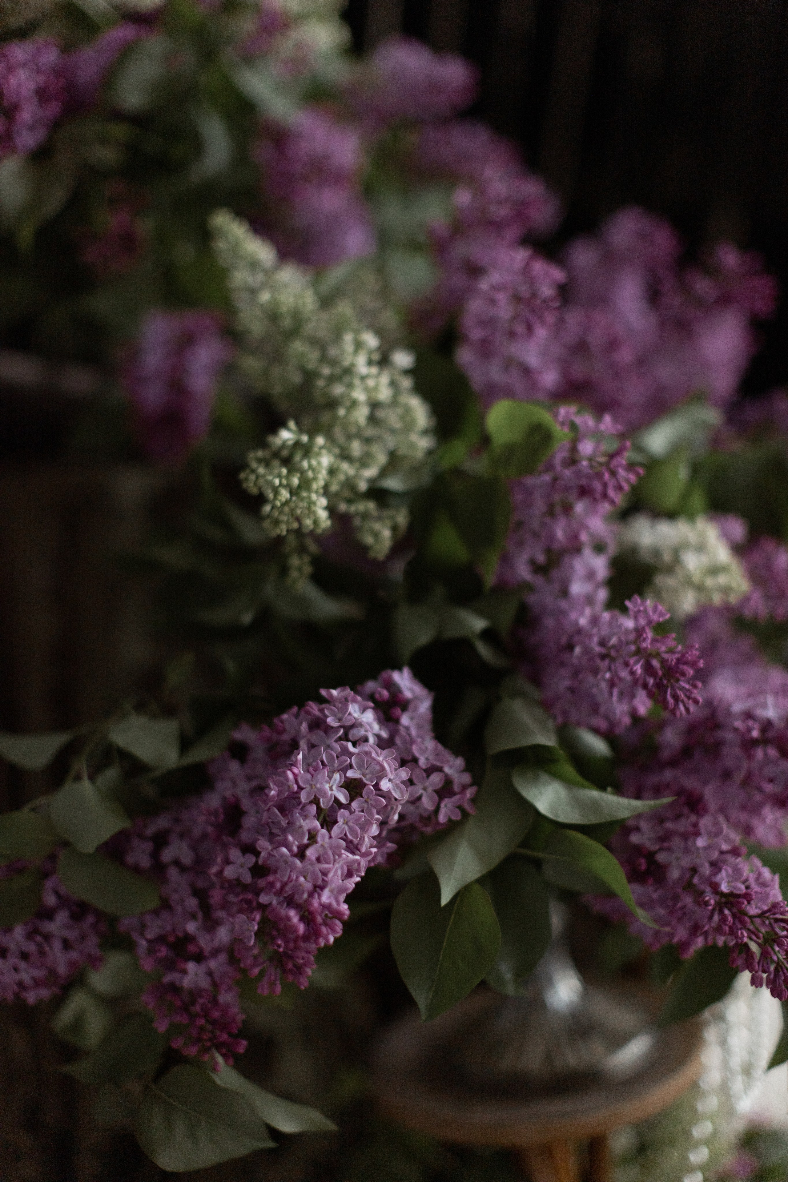 Подружки. Портретний і сімейний фотограф Київ