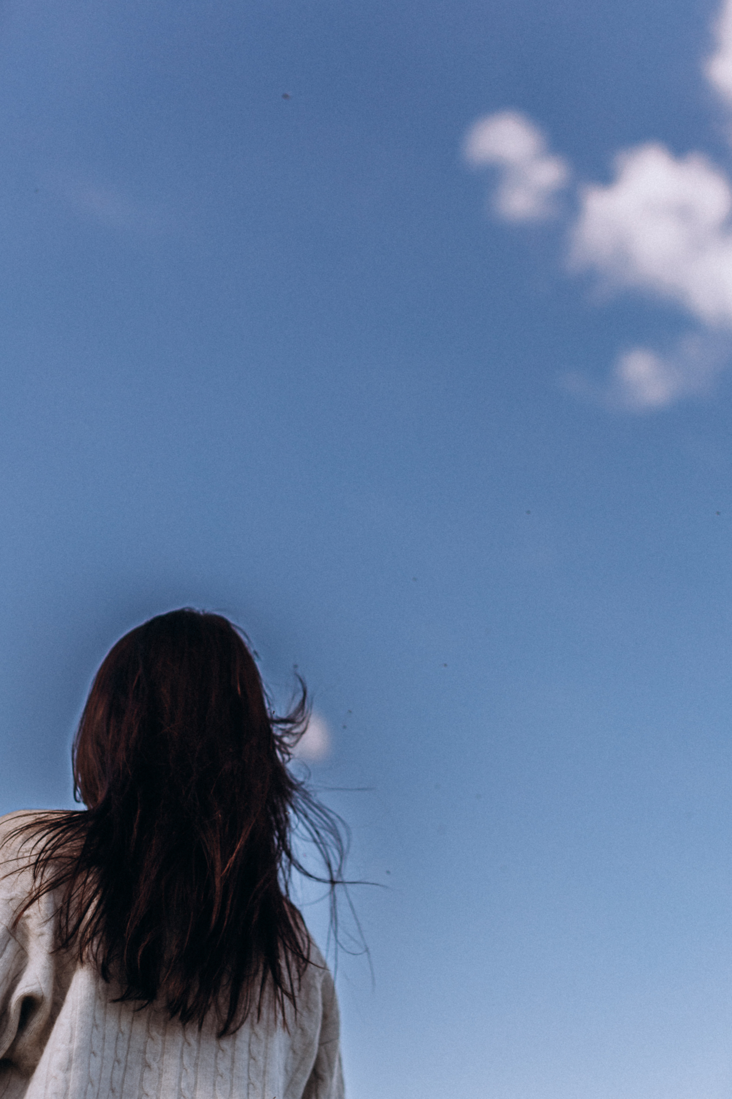 Рапсове поле. Портретний і сімейний фотограф Київ