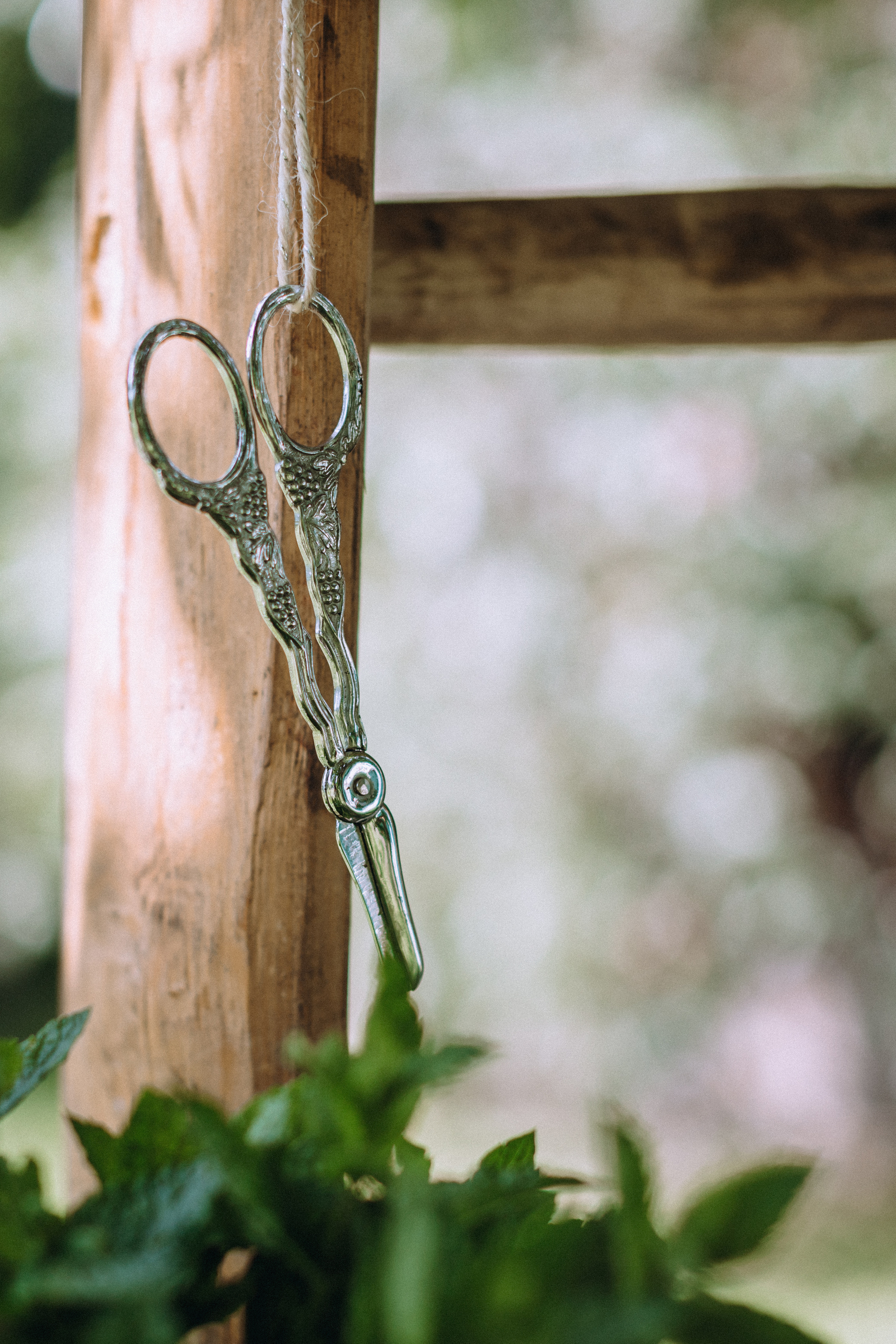 Bath in the garden. Портретний і сімейний фотограф Київ