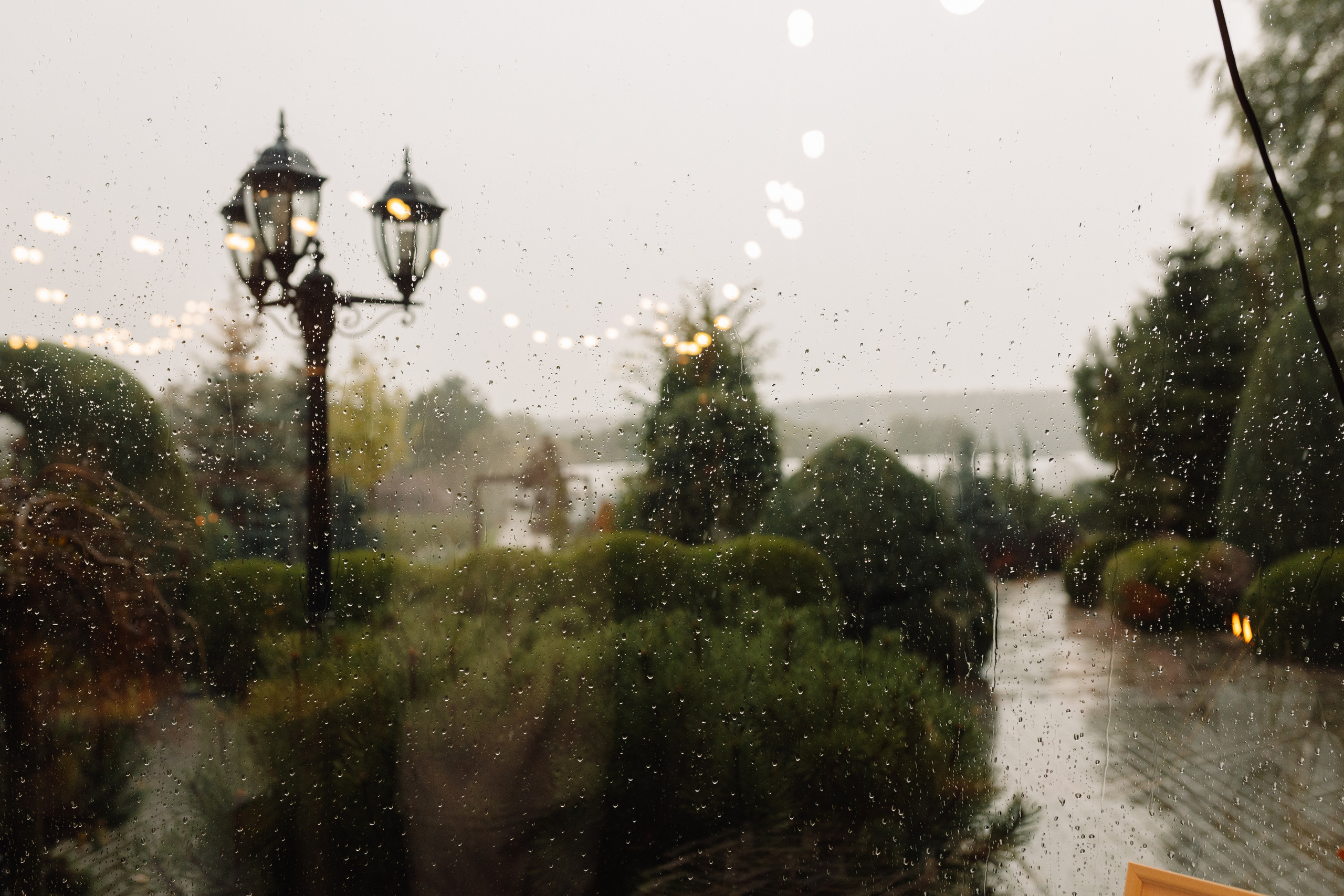 Анастасія & Дмитро. Весільний та сімейний фотограф у Харкові Ткаченко Світлана