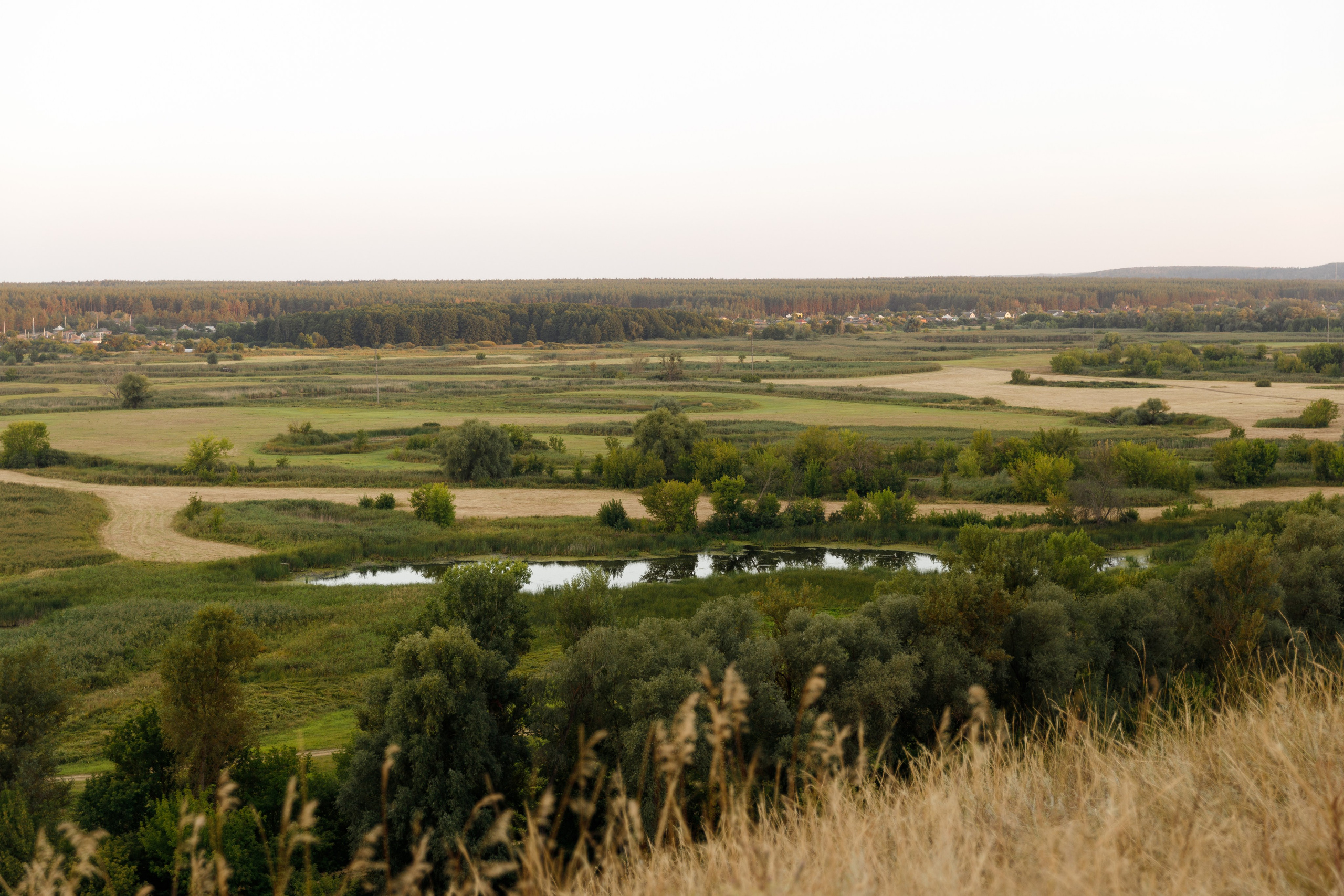 Аліна & Олексій. Весільний та сімейний фотограф у Харкові Ткаченко Світлана