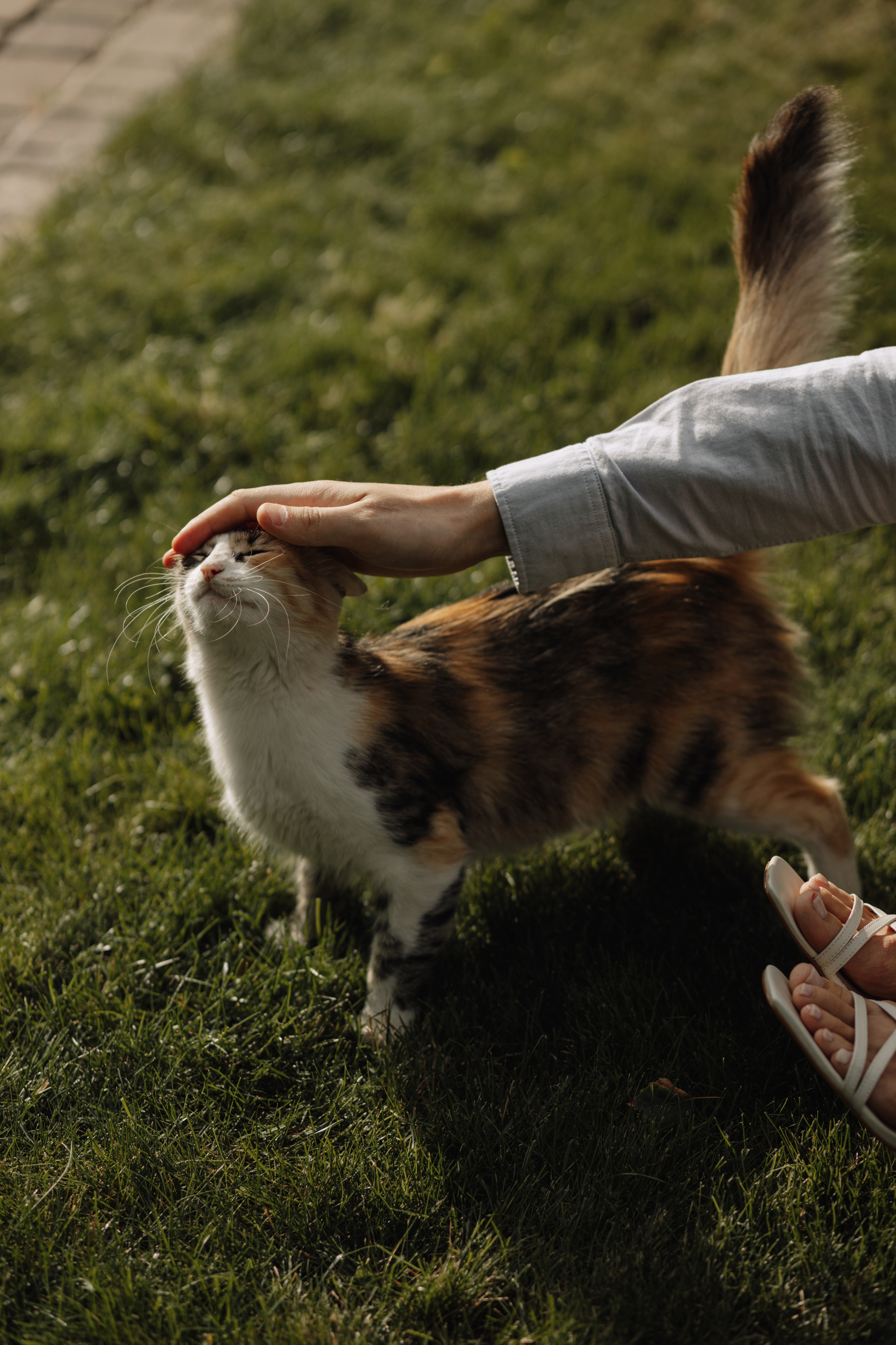 Анна & Назар. Весільний та сімейний фотограф у Харкові Ткаченко Світлана