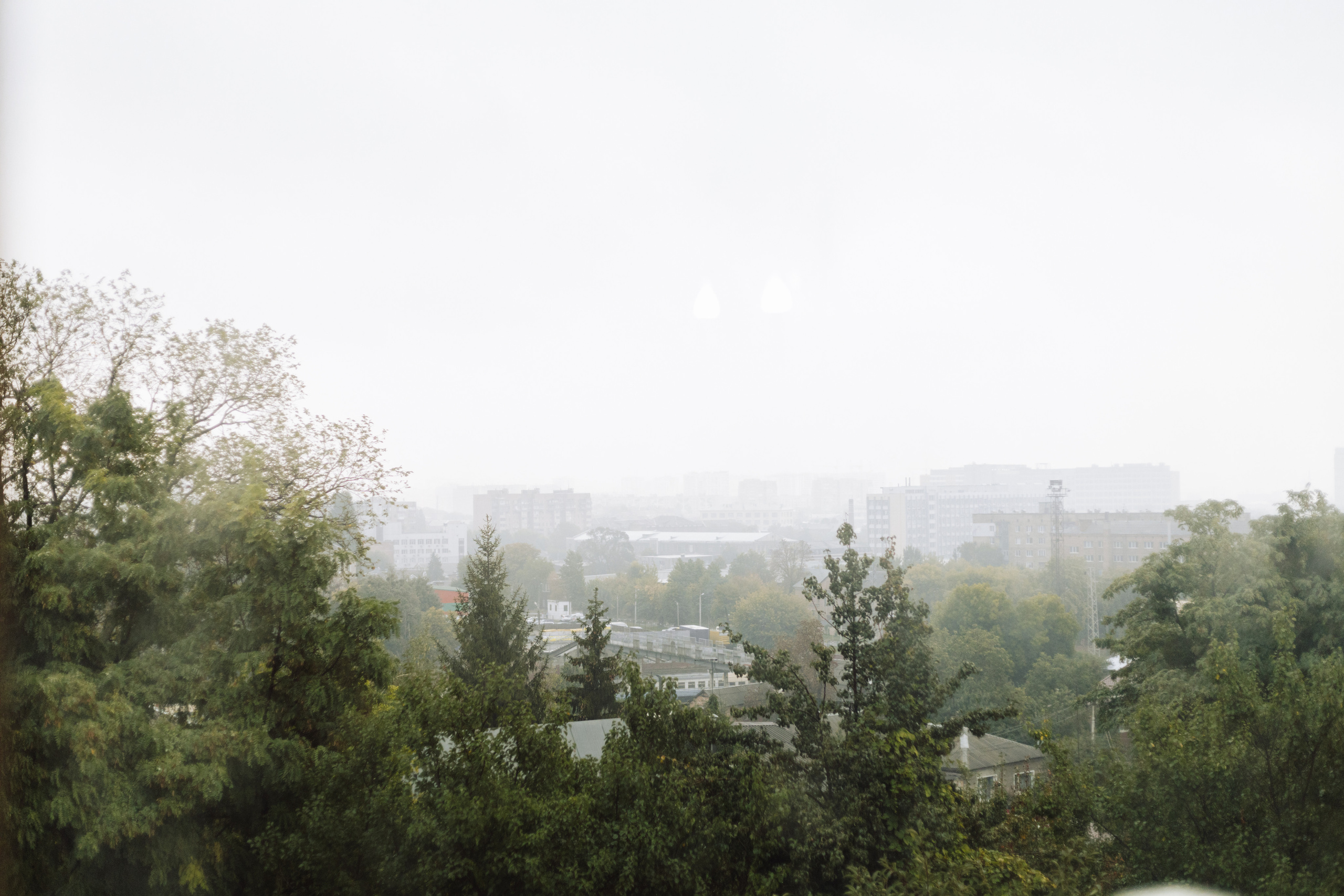 Анастасія & Дмитро. Весільний та сімейний фотограф у Харкові Ткаченко Світлана