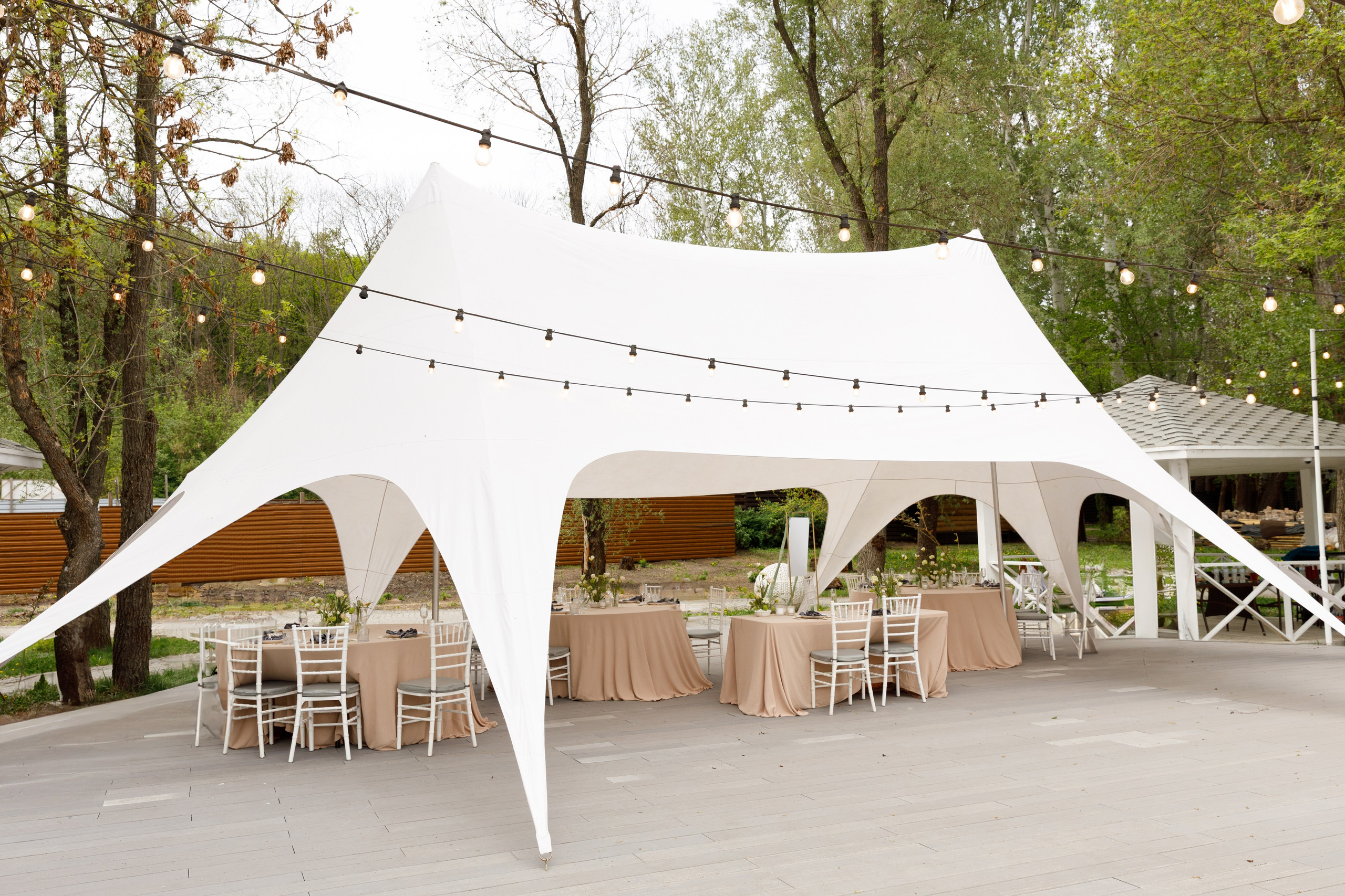 Аліна Костя - Gender party. Весільний та сімейний фотограф у Харкові Ткаченко Світлана