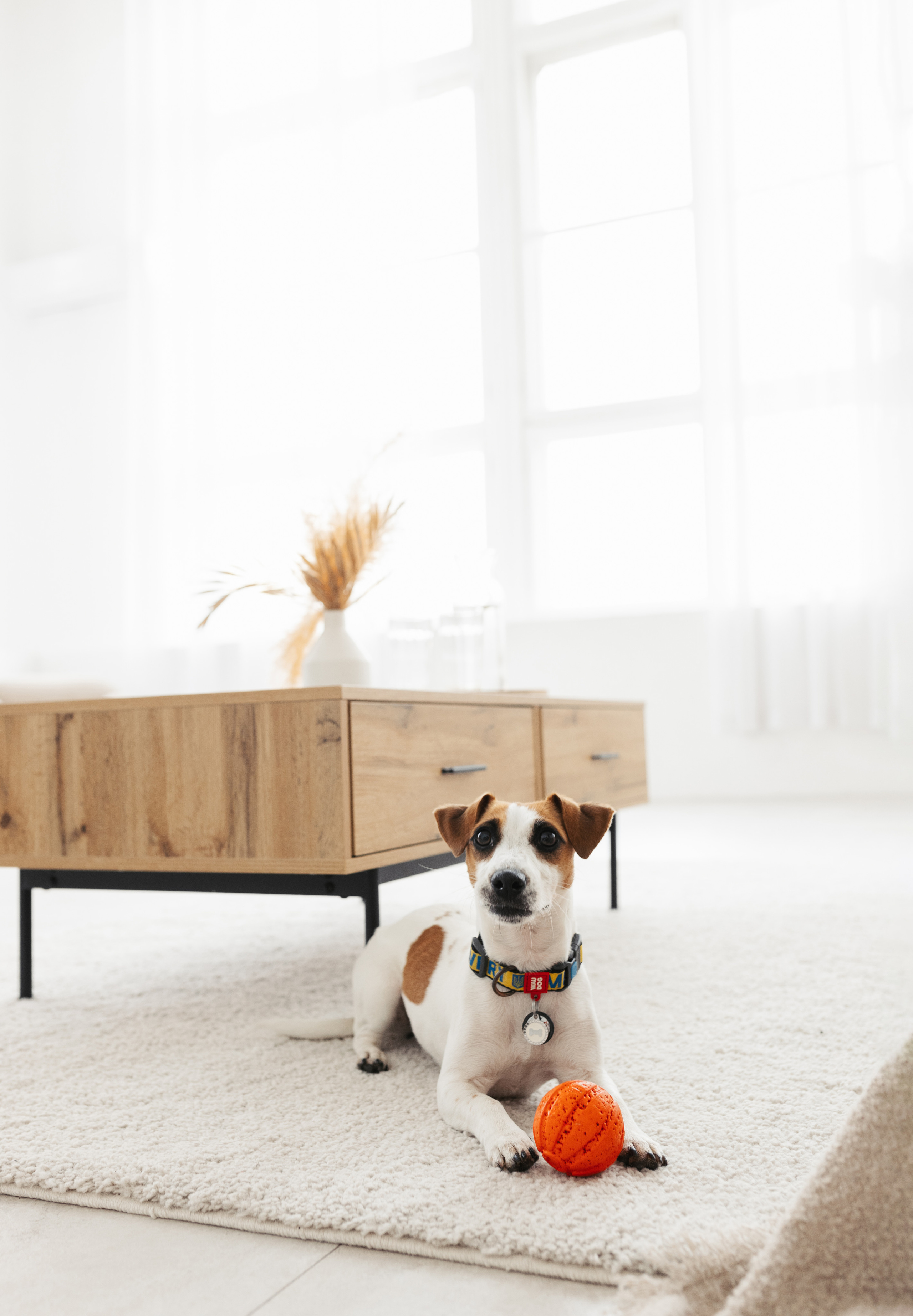 Настя & Іван. Весільний та сімейний фотограф у Харкові Ткаченко Світлана