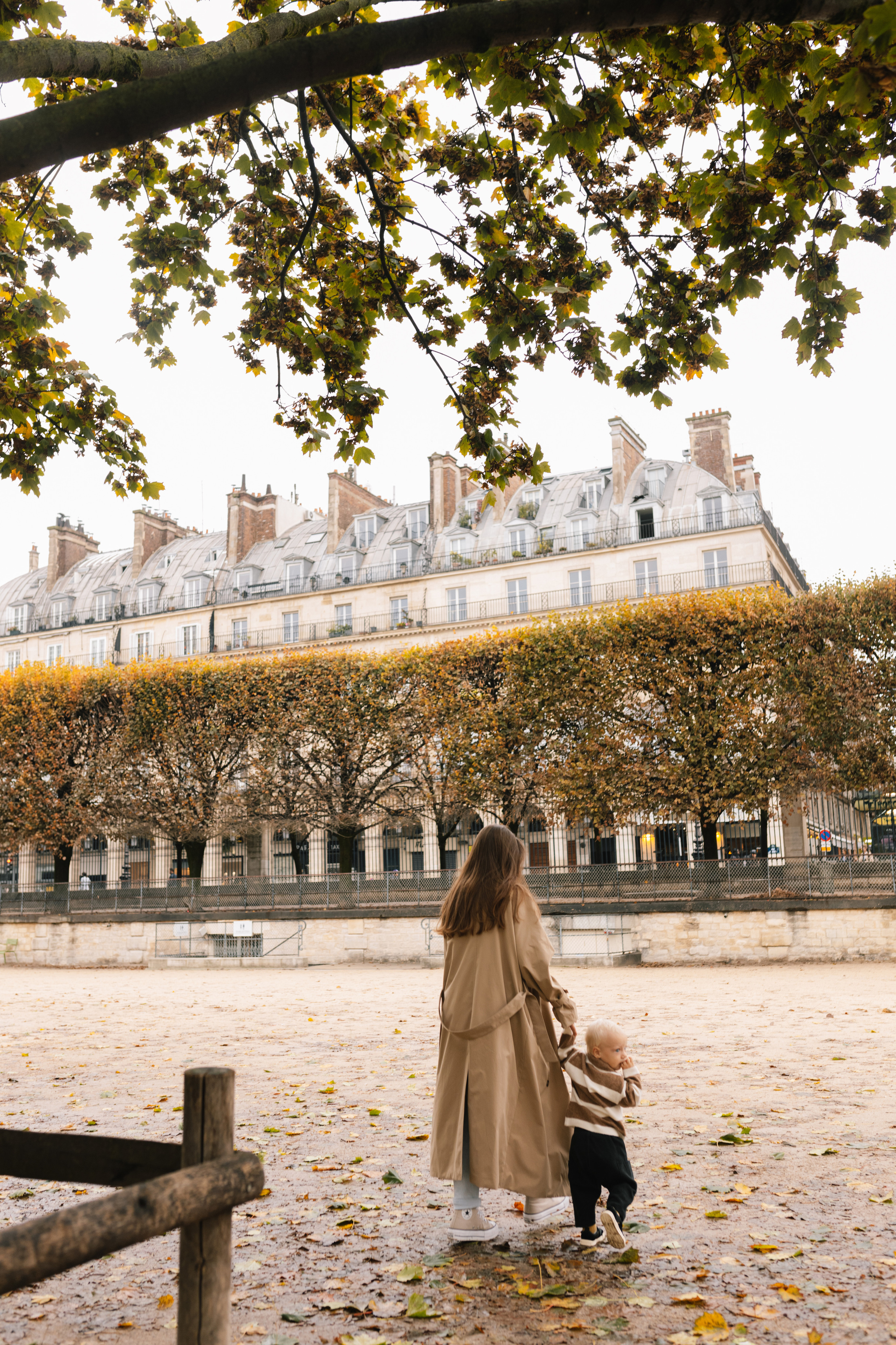 Саша & Матвій & Саша. Весільний та сімейний фотограф у Харкові Ткаченко Світлана