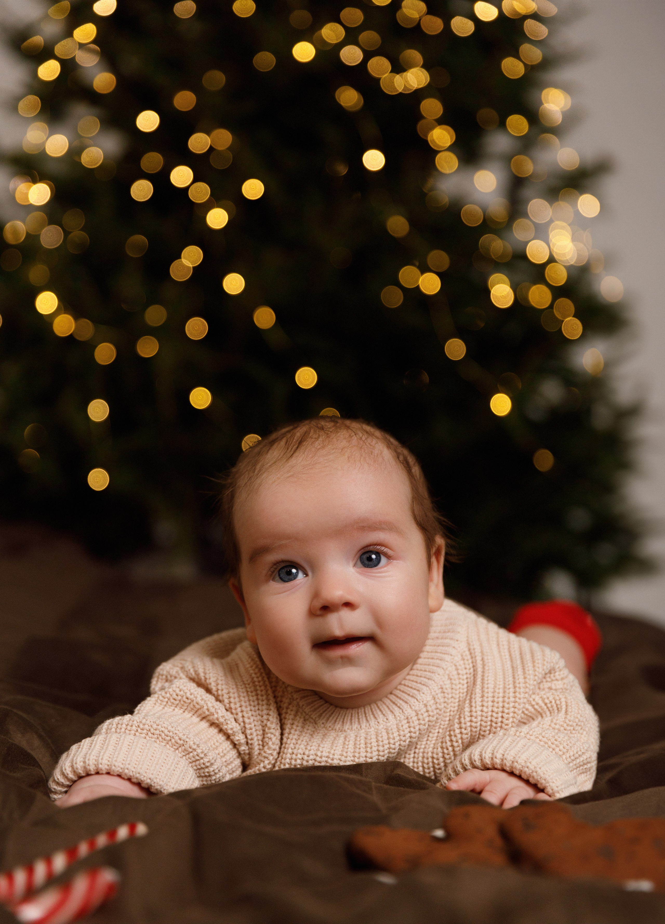 Віка & Влад & Артур. Весільний та сімейний фотограф у Харкові Ткаченко Світлана