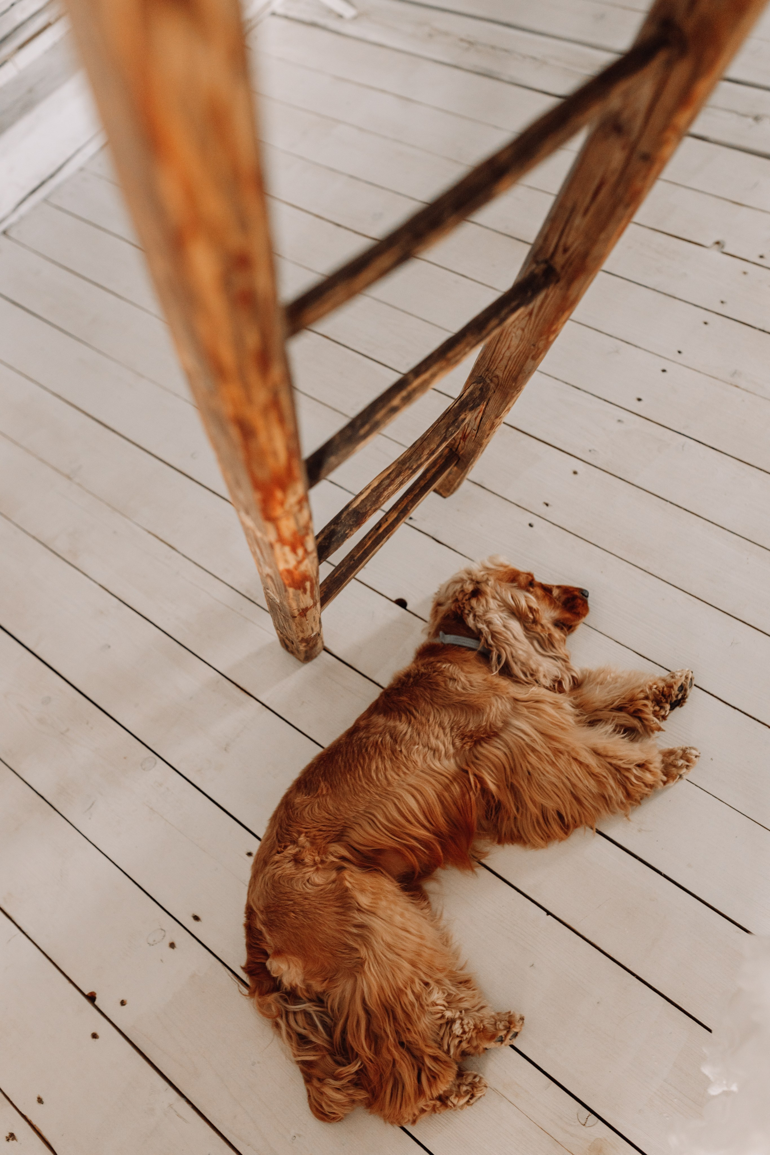 Юлія & Юрій. Весільний та сімейний фотограф у Харкові Ткаченко Світлана