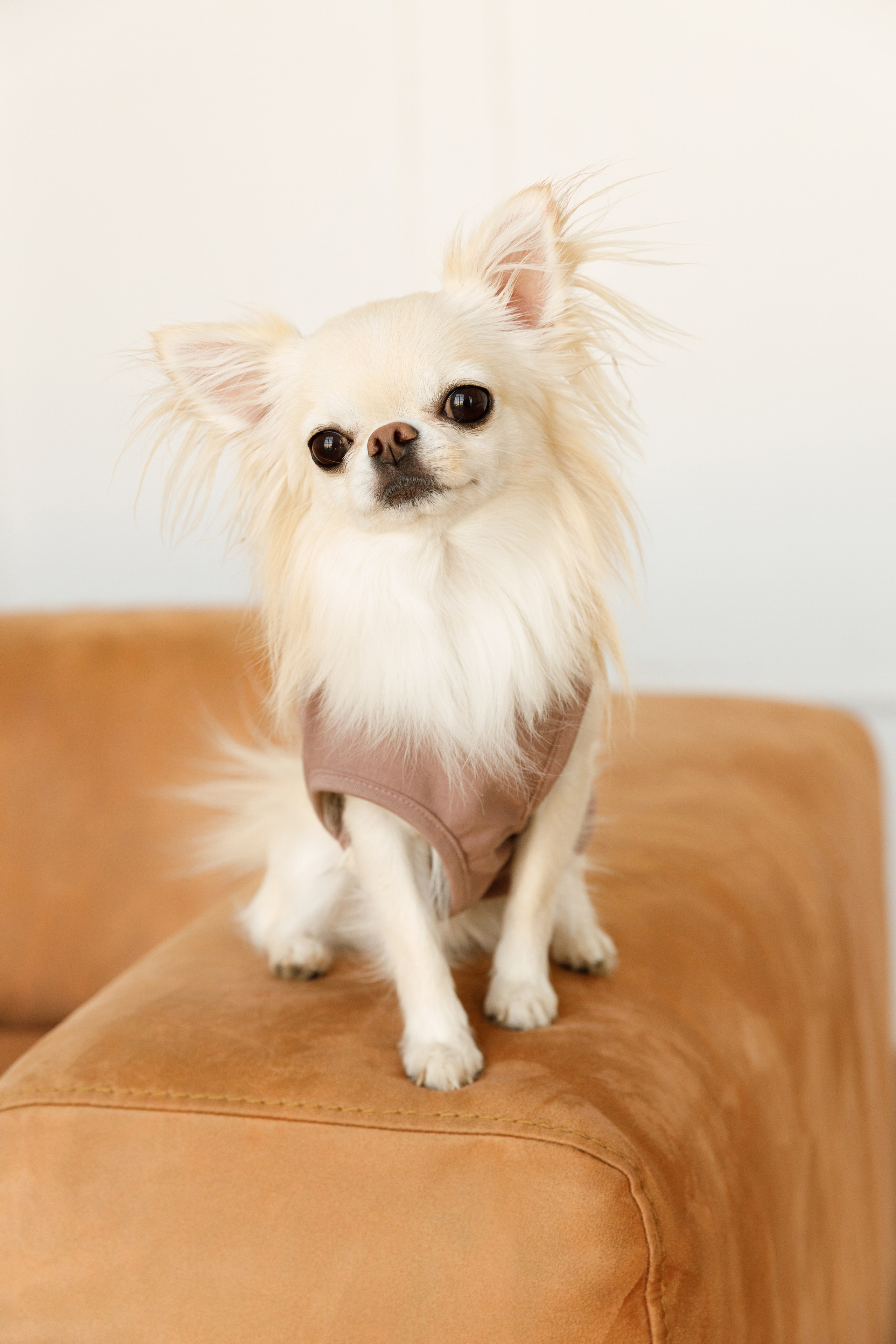 Ольга & Іван. Весільний та сімейний фотограф у Харкові Ткаченко Світлана