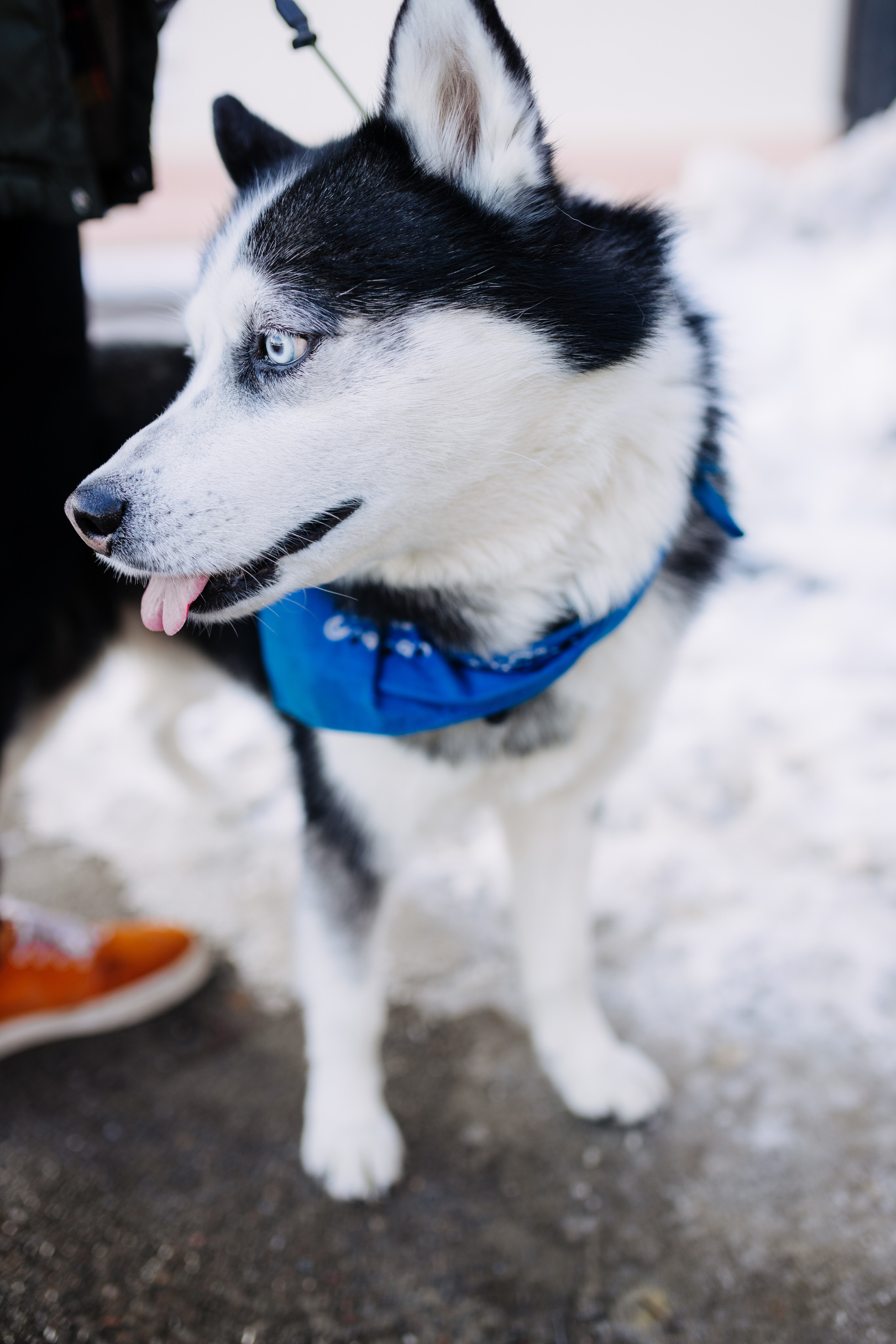 Альона & Кирил. Весільний та сімейний фотограф у Харкові Ткаченко Світлана