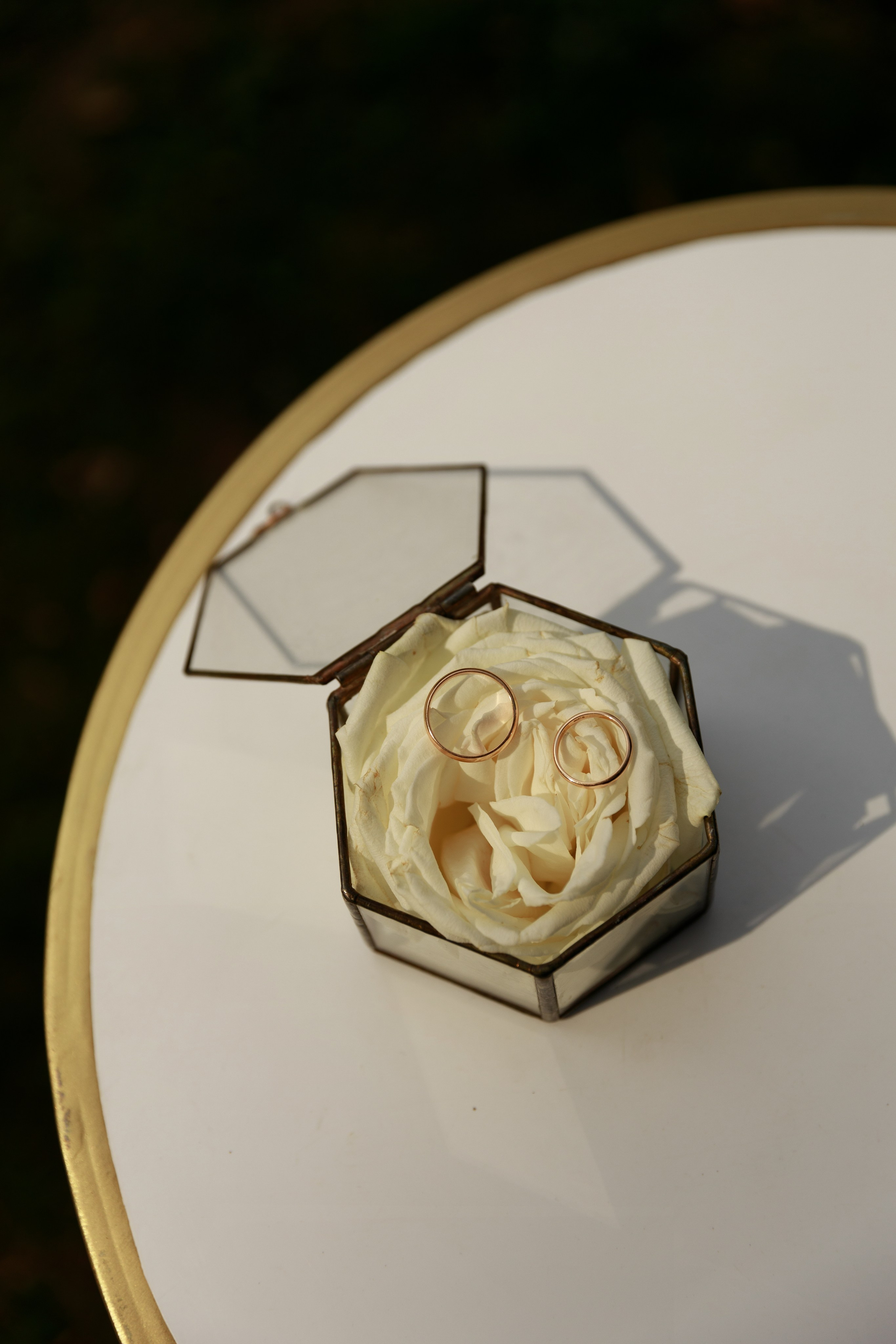 Анастасія & Артем. Весільний та сімейний фотограф у Харкові Ткаченко Світлана