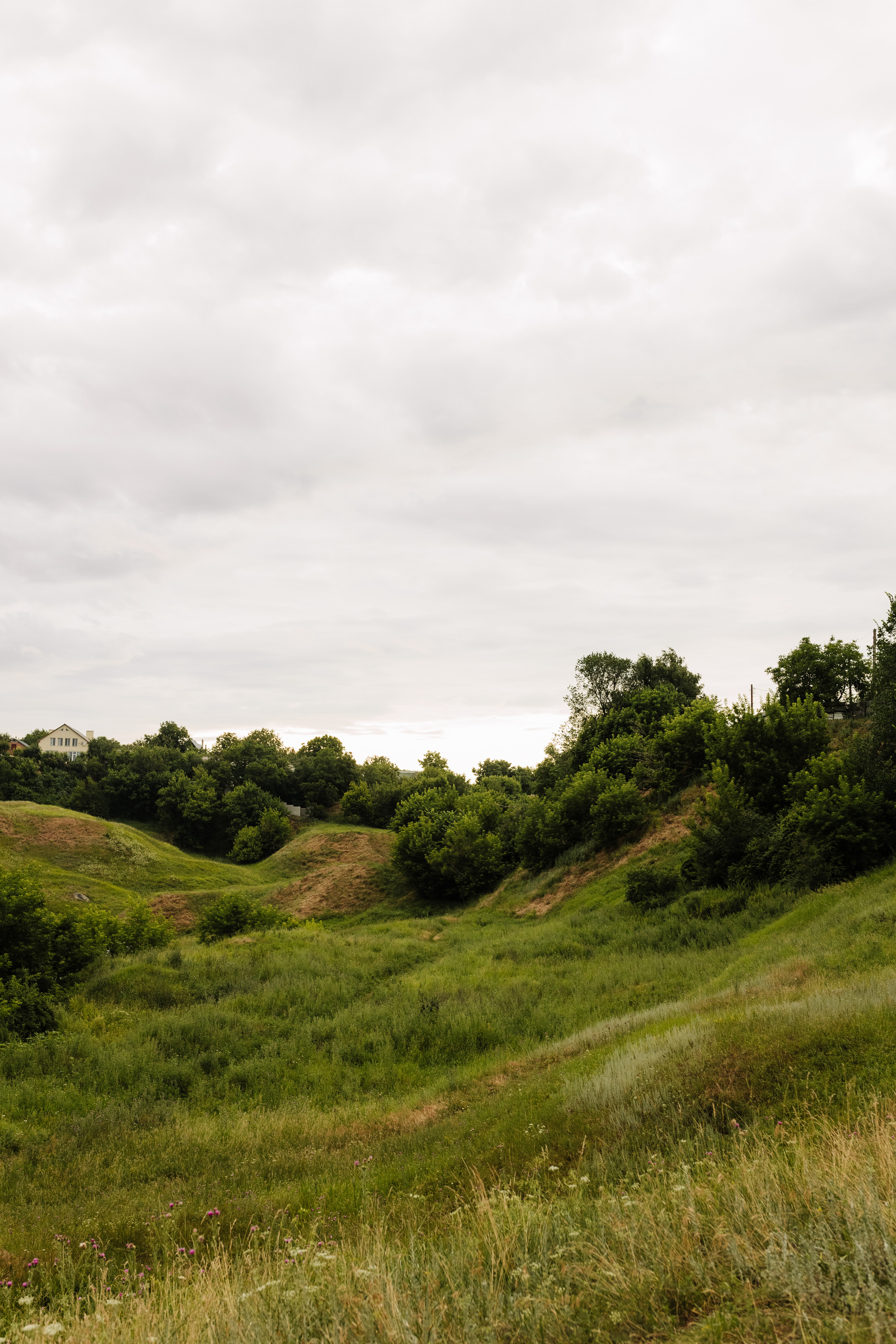 Іра. Весільний та сімейний фотограф у Харкові Ткаченко Світлана