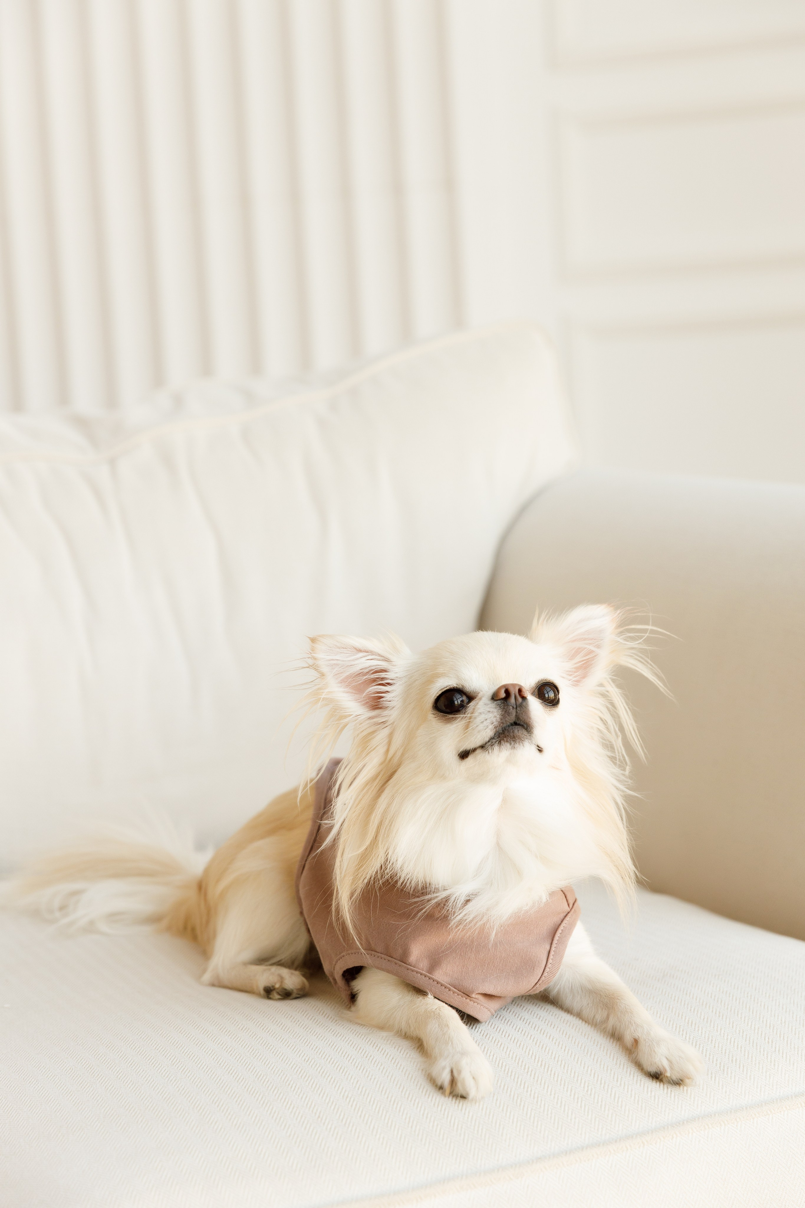 Ольга & Іван. Весільний та сімейний фотограф у Харкові Ткаченко Світлана