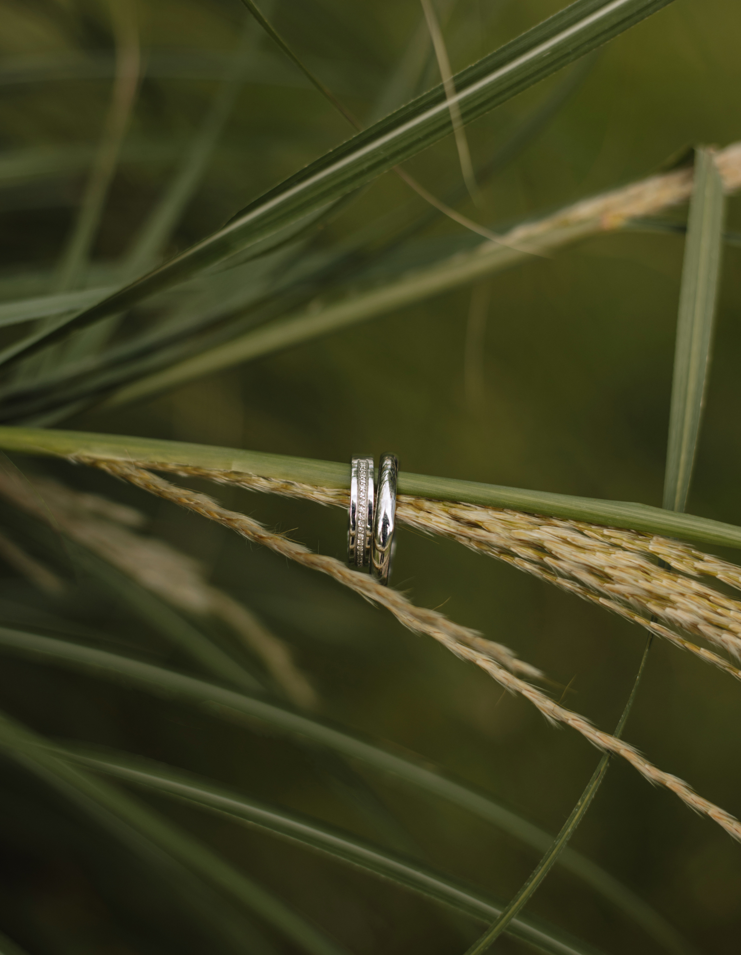 Анна & Назар. Весільний та сімейний фотограф у Харкові Ткаченко Світлана