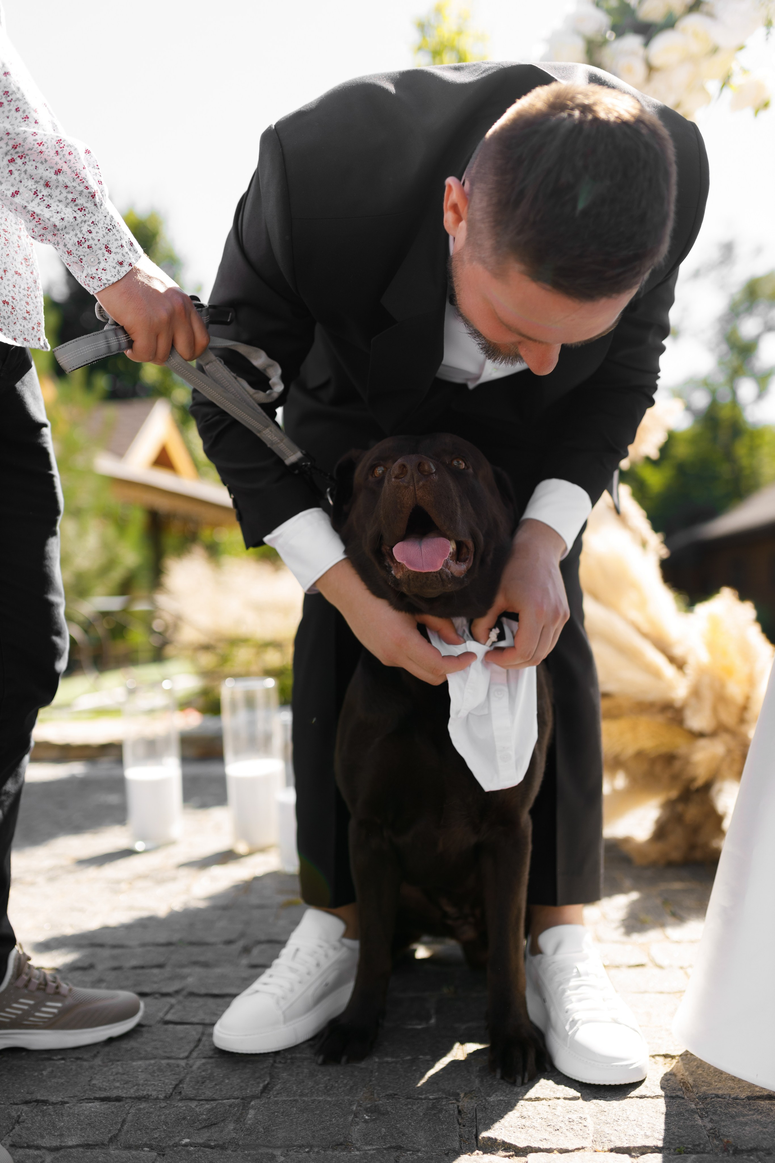 Дар’я & Артур. Весільний та сімейний фотограф у Харкові Ткаченко Світлана