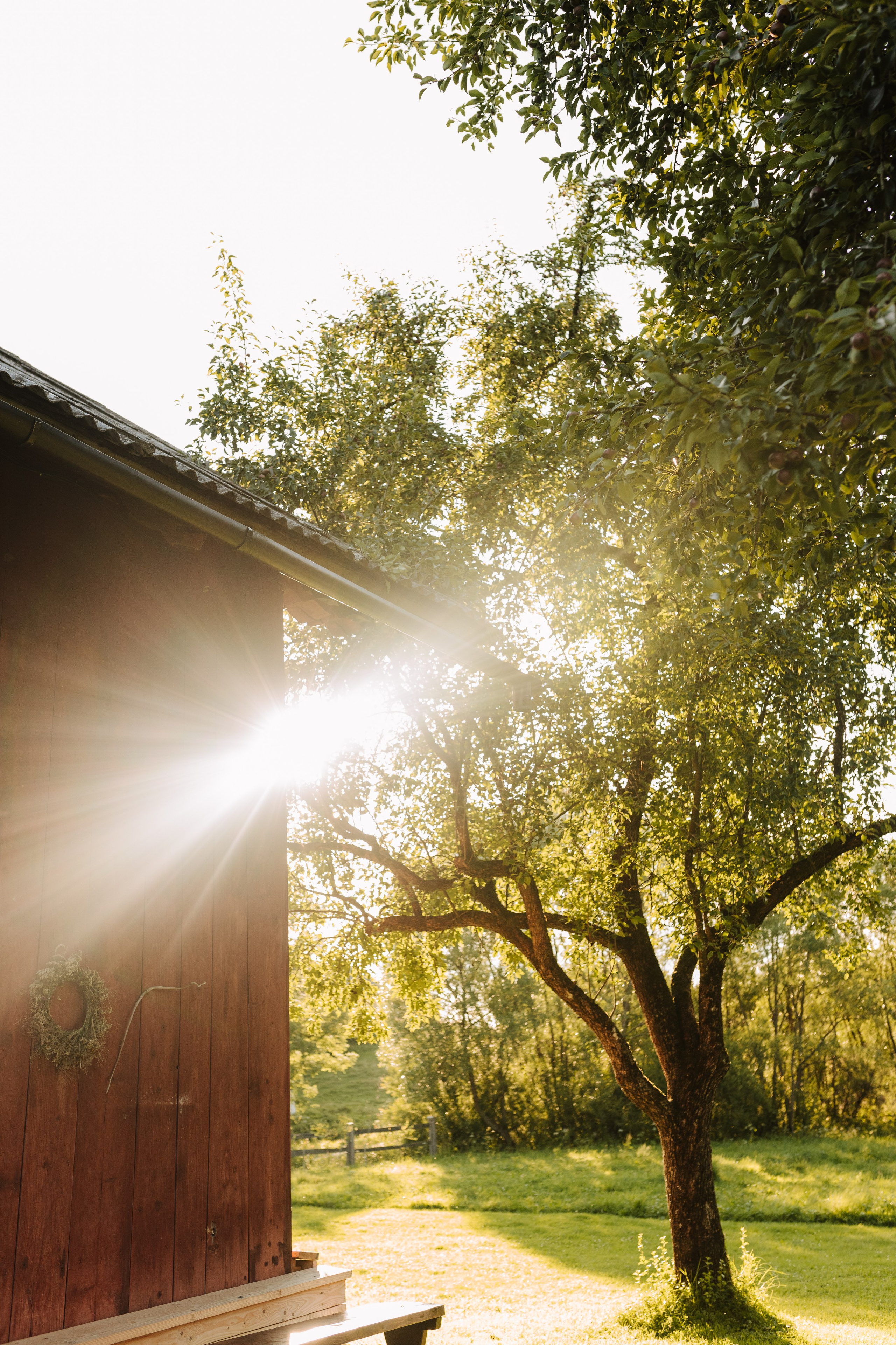 Юлія & Юрій. Весільний та сімейний фотограф у Харкові Ткаченко Світлана