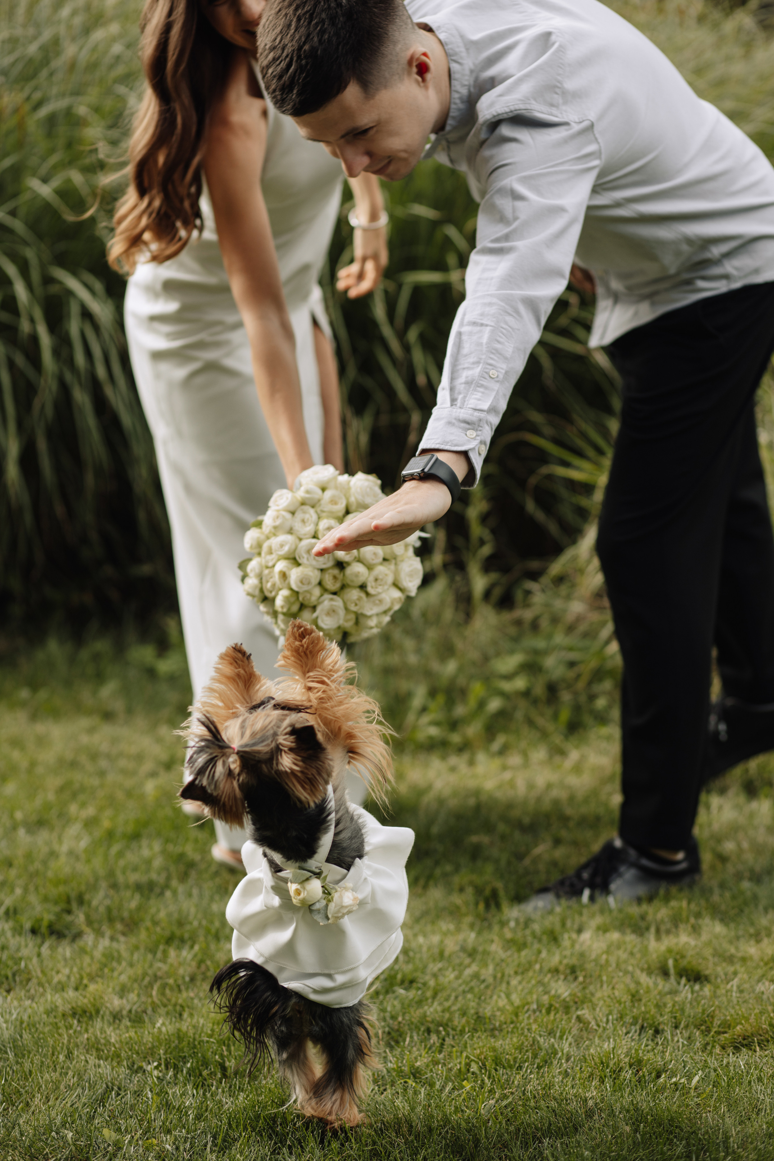 Анна & Назар. Весільний та сімейний фотограф у Харкові Ткаченко Світлана