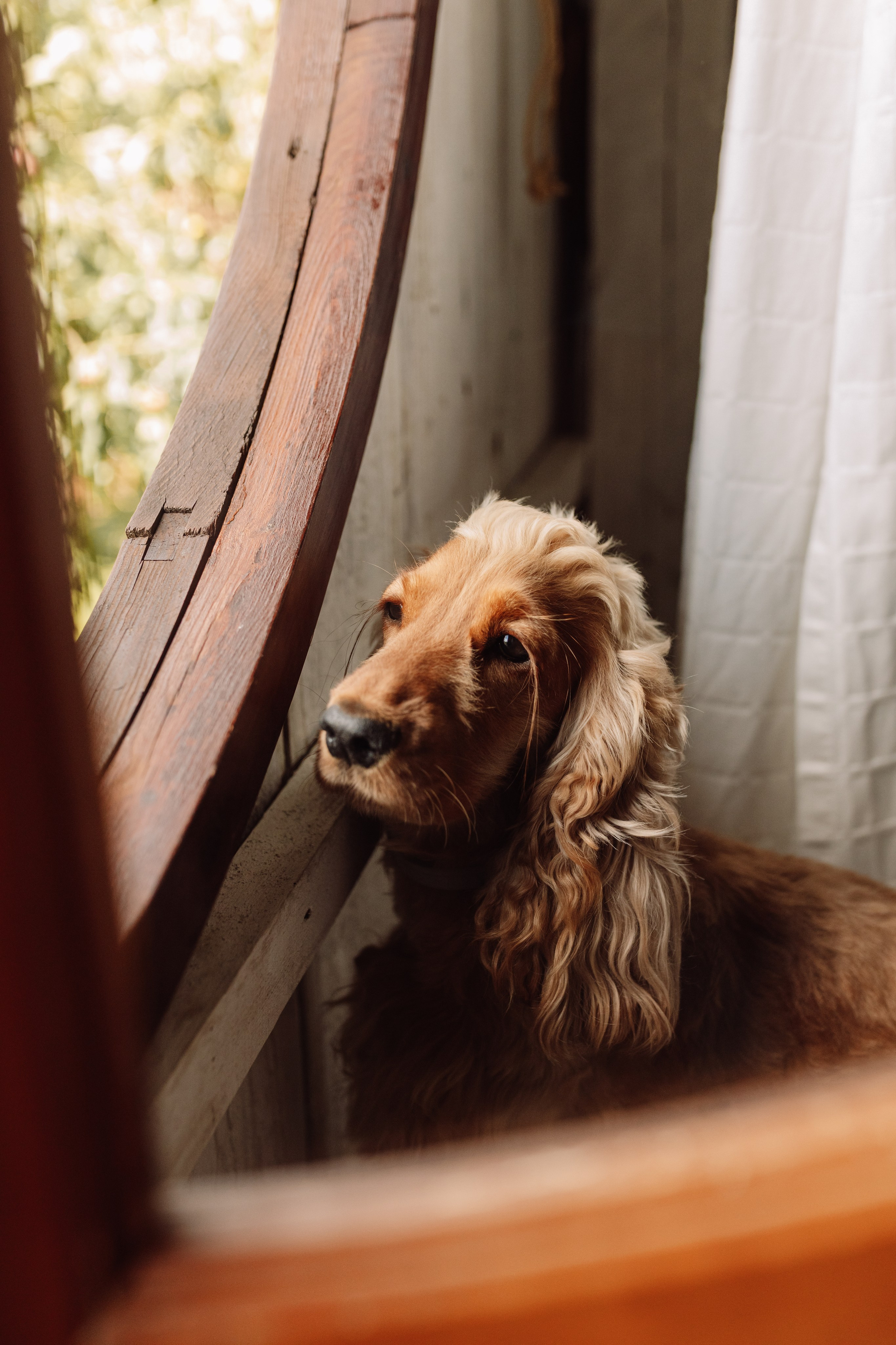 Юлія & Юрій. Весільний та сімейний фотограф у Харкові Ткаченко Світлана