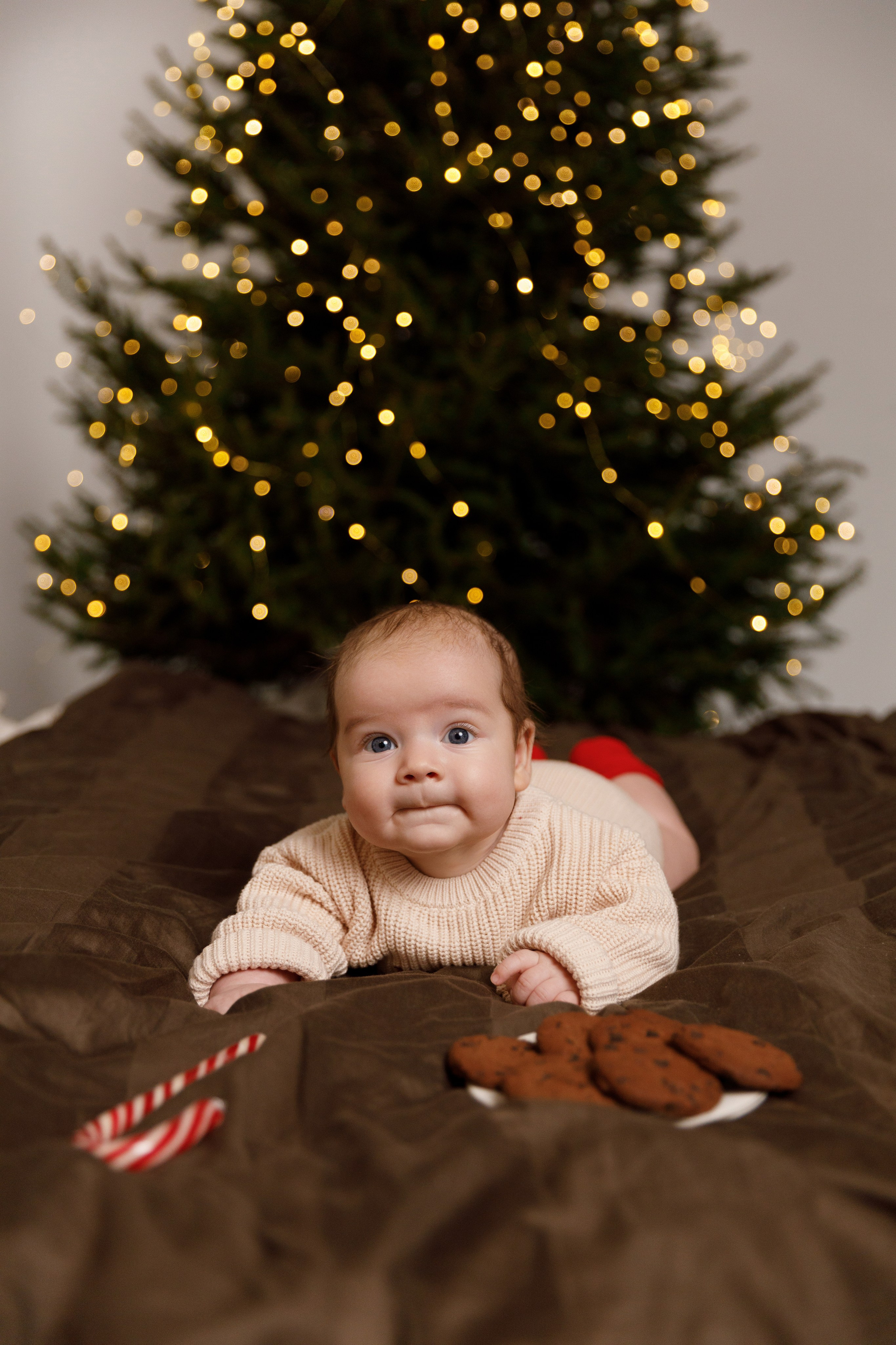 Віка & Влад & Артур. Весільний та сімейний фотограф у Харкові Ткаченко Світлана