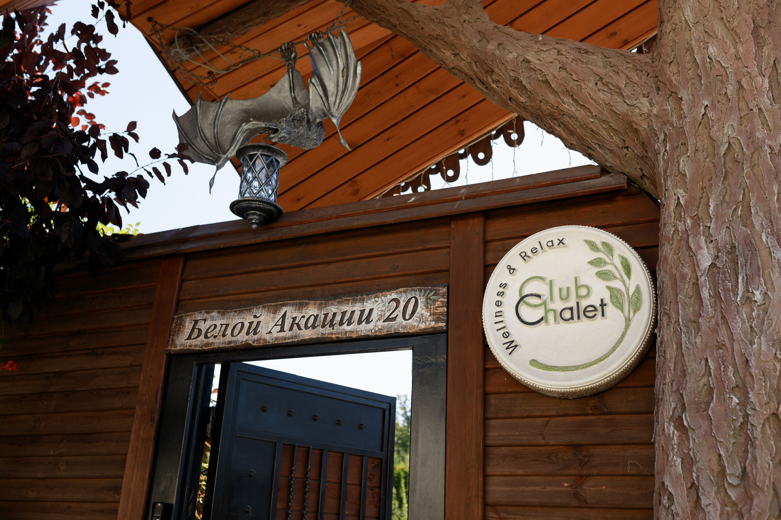 Дар’я & Артур. Весільний та сімейний фотограф у Харкові Ткаченко Світлана