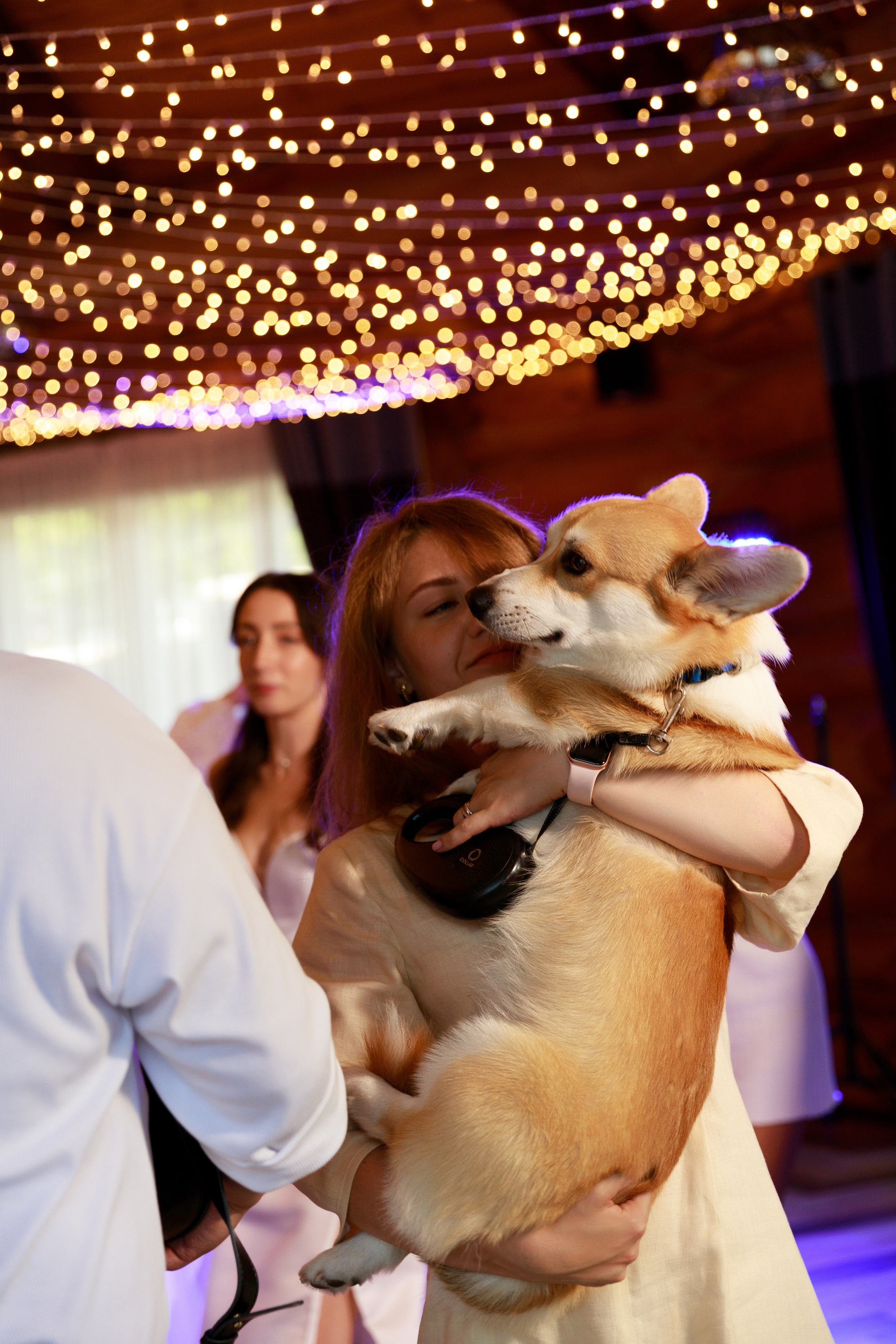 Дарʼя & Кирило. Весільний та сімейний фотограф у Харкові Ткаченко Світлана