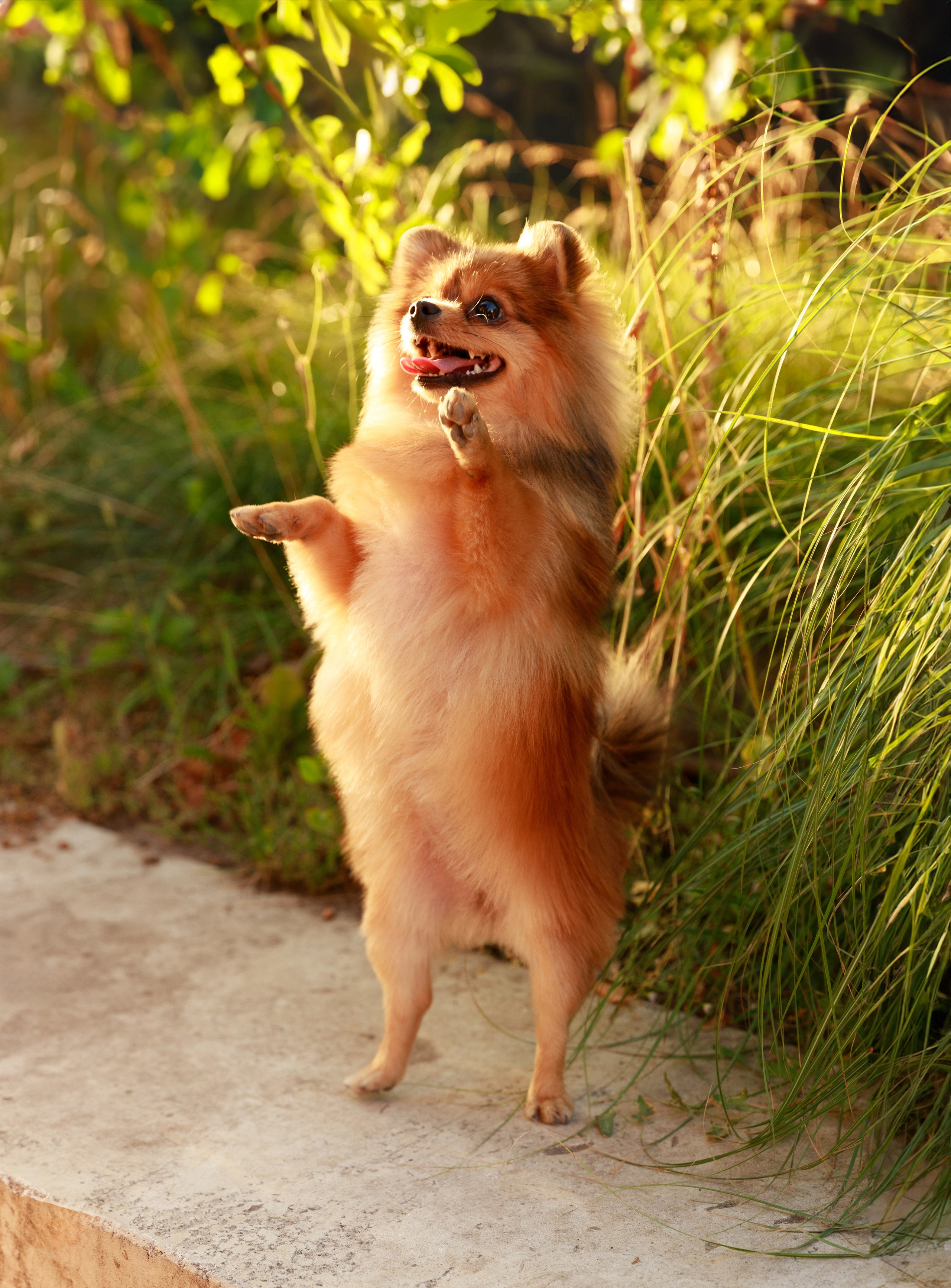Аліна & Ярослав. Весільний та сімейний фотограф у Харкові Ткаченко Світлана
