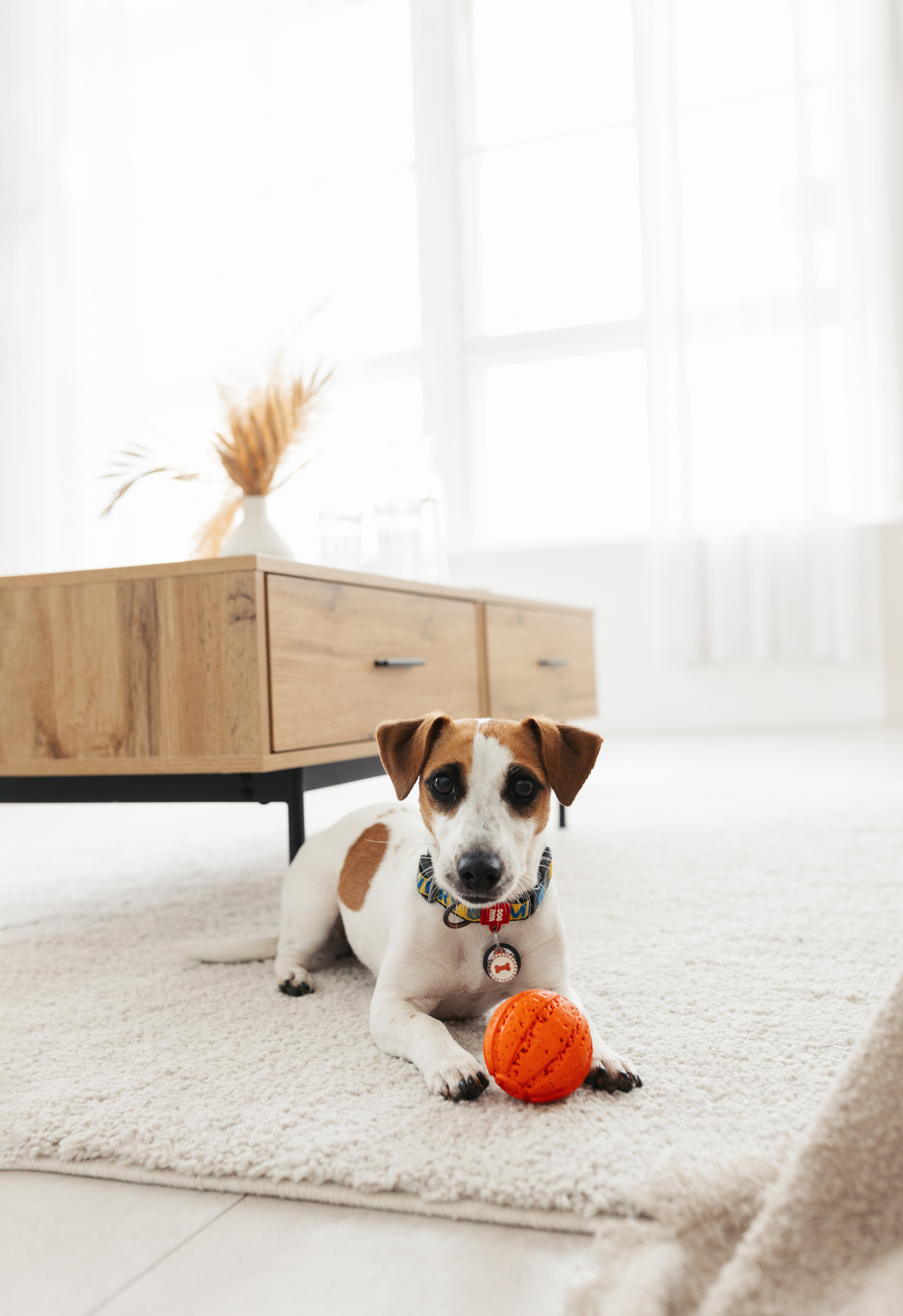 Настя & Іван. Весільний та сімейний фотограф у Харкові Ткаченко Світлана