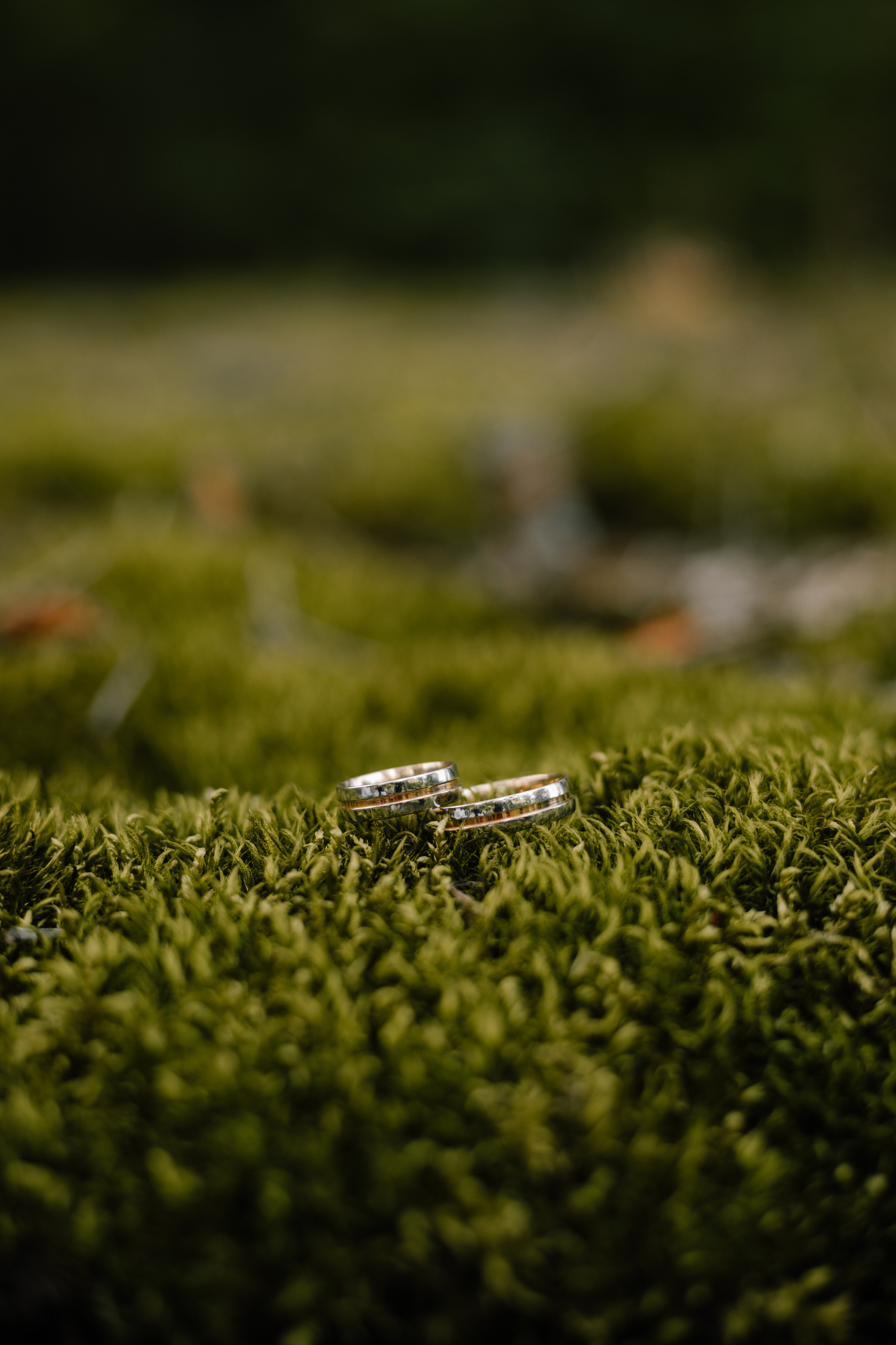 Настя & Влад. Весільний та сімейний фотограф у Харкові Ткаченко Світлана