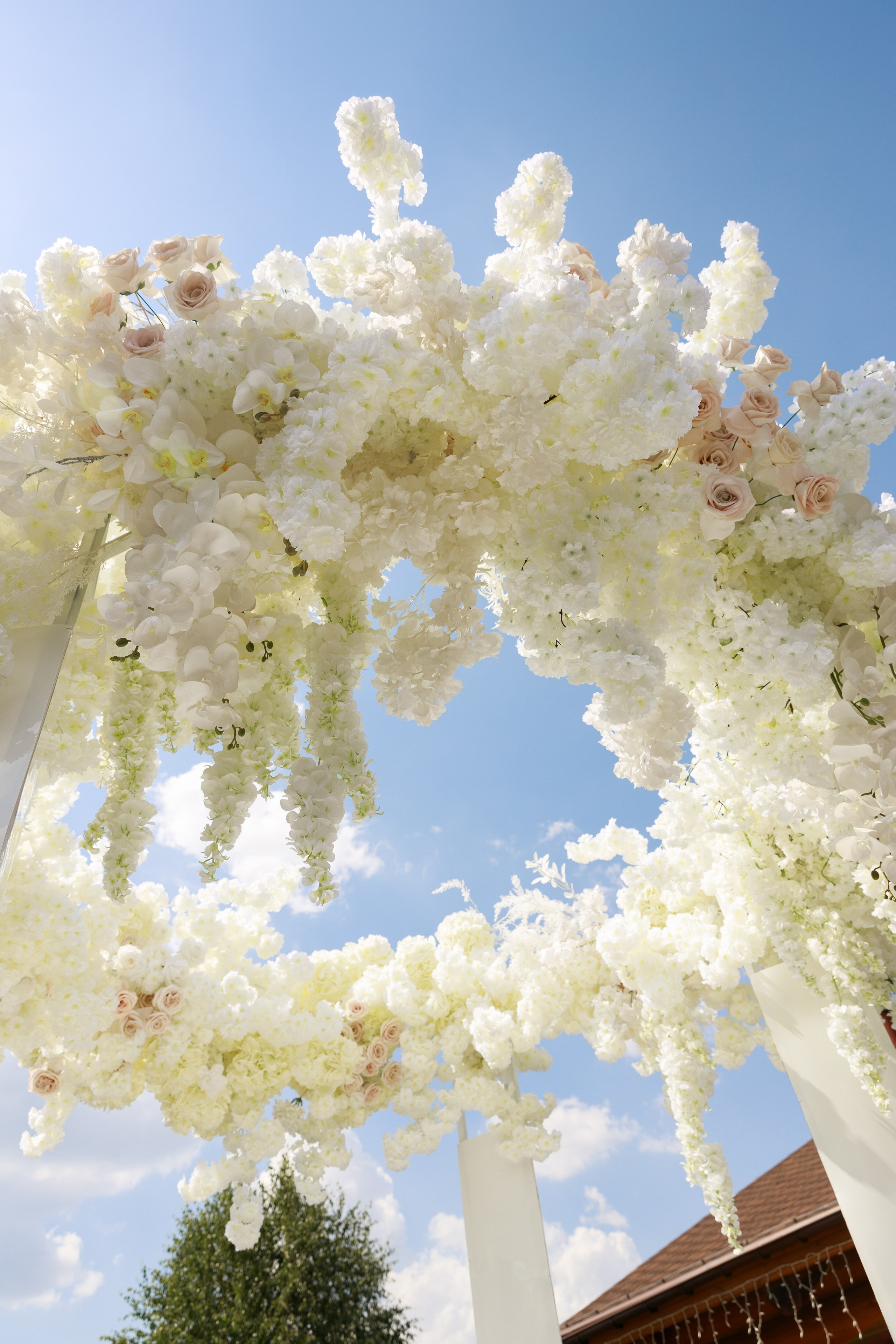 Дарина & Тимур. Весільний та сімейний фотограф у Харкові Ткаченко Світлана