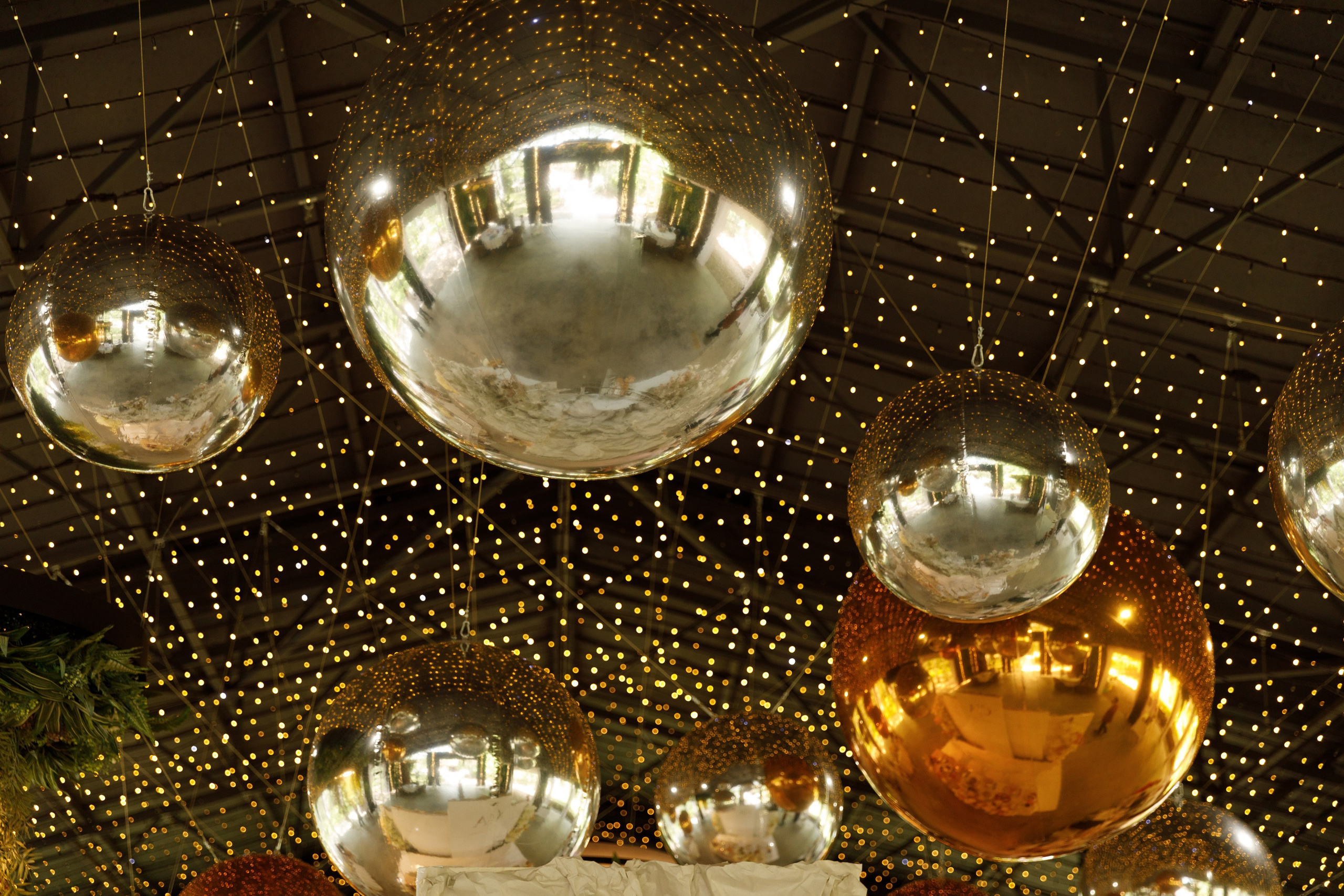 Аліна & Сергій. Весільний та сімейний фотограф у Харкові Ткаченко Світлана