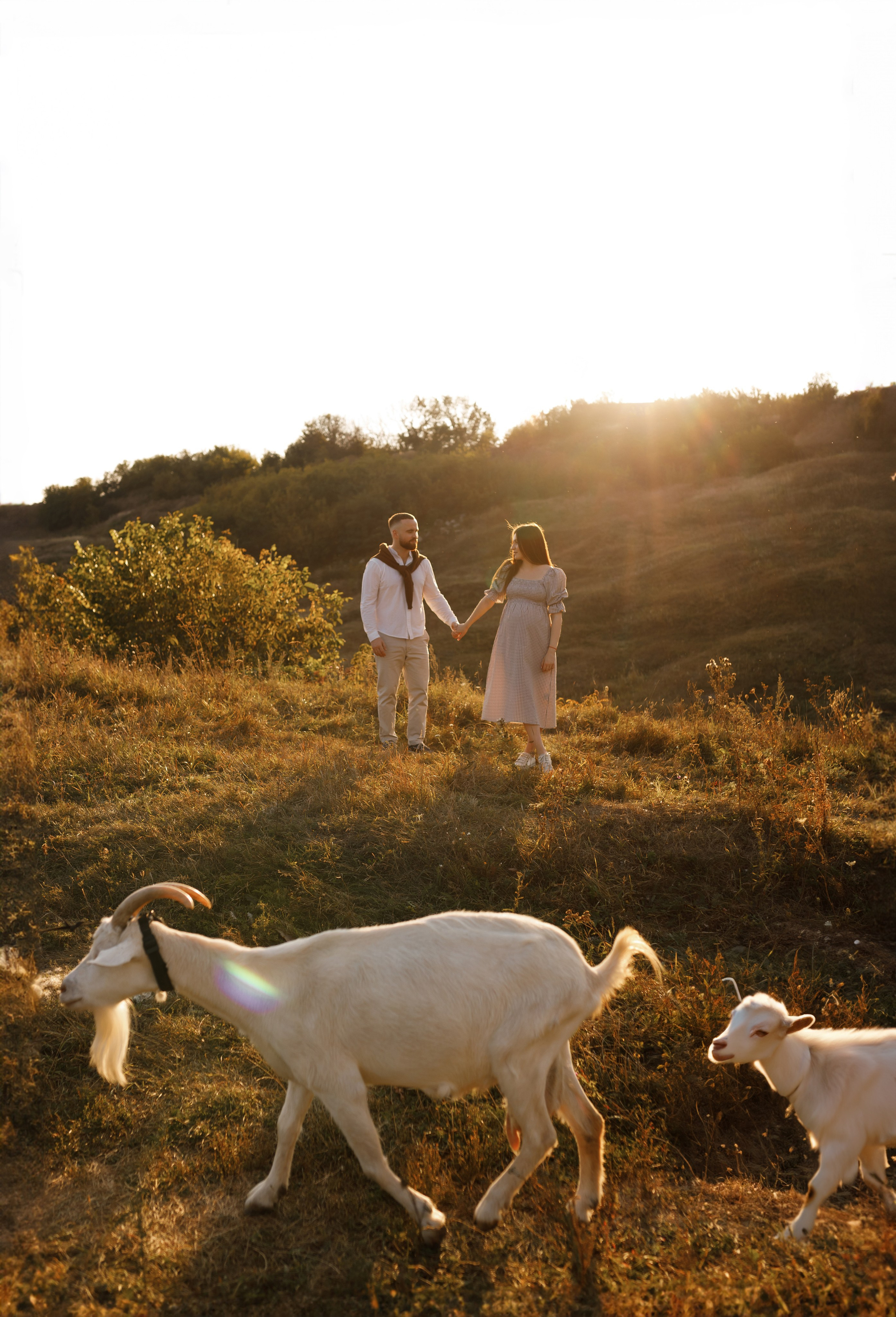 Анастасія & Вадим. Весільний та сімейний фотограф у Харкові Ткаченко Світлана