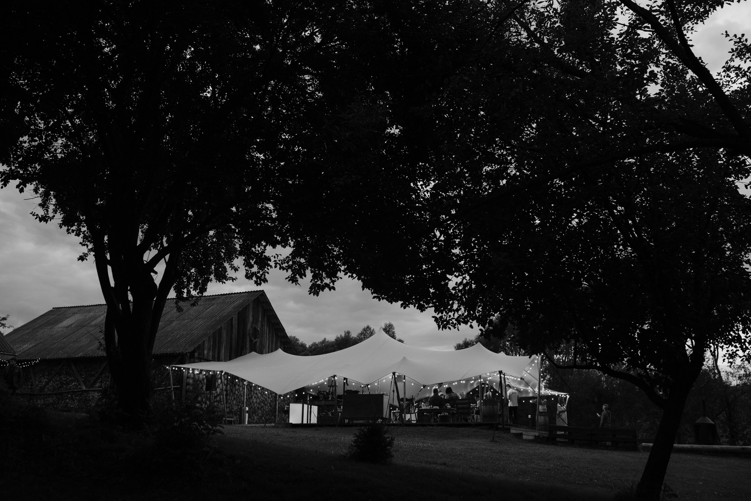 Юлія & Юрій. Весільний та сімейний фотограф у Харкові Ткаченко Світлана