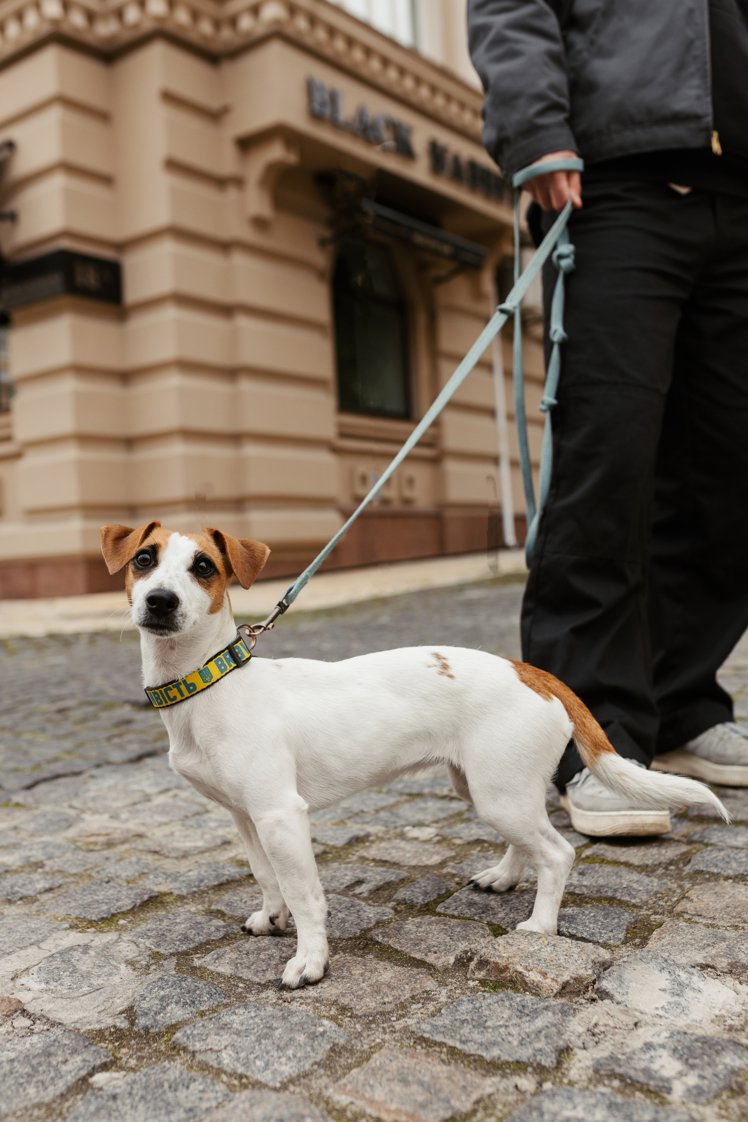 Настя & Іван. Весільний та сімейний фотограф у Харкові Ткаченко Світлана