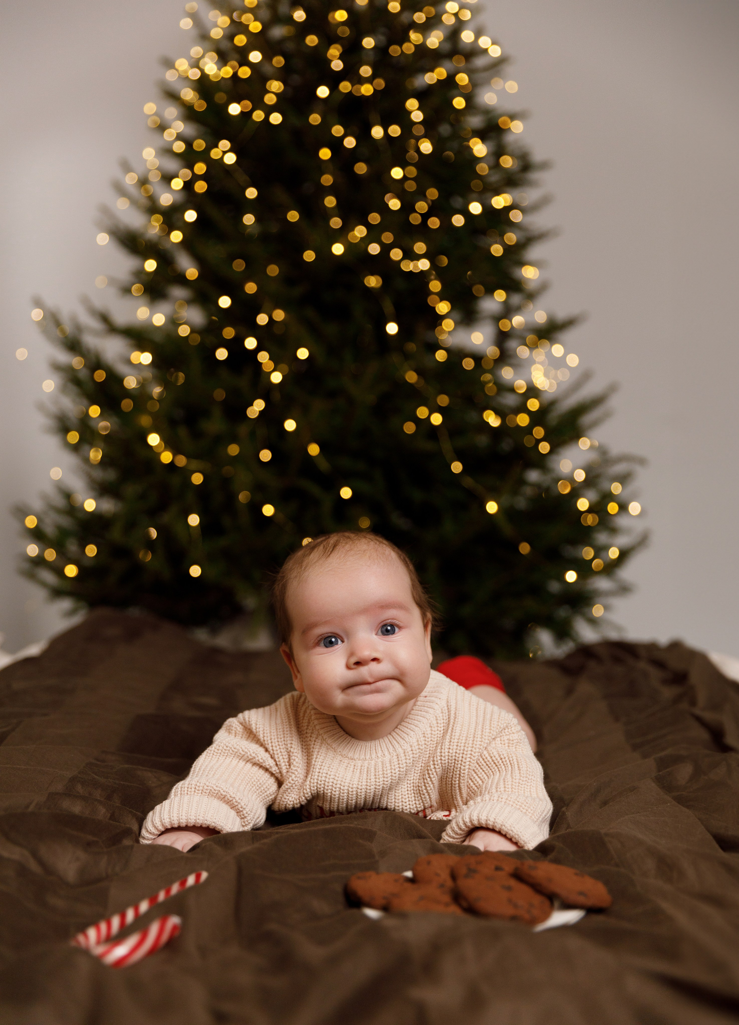 Віка & Влад & Артур. Весільний та сімейний фотограф у Харкові Ткаченко Світлана