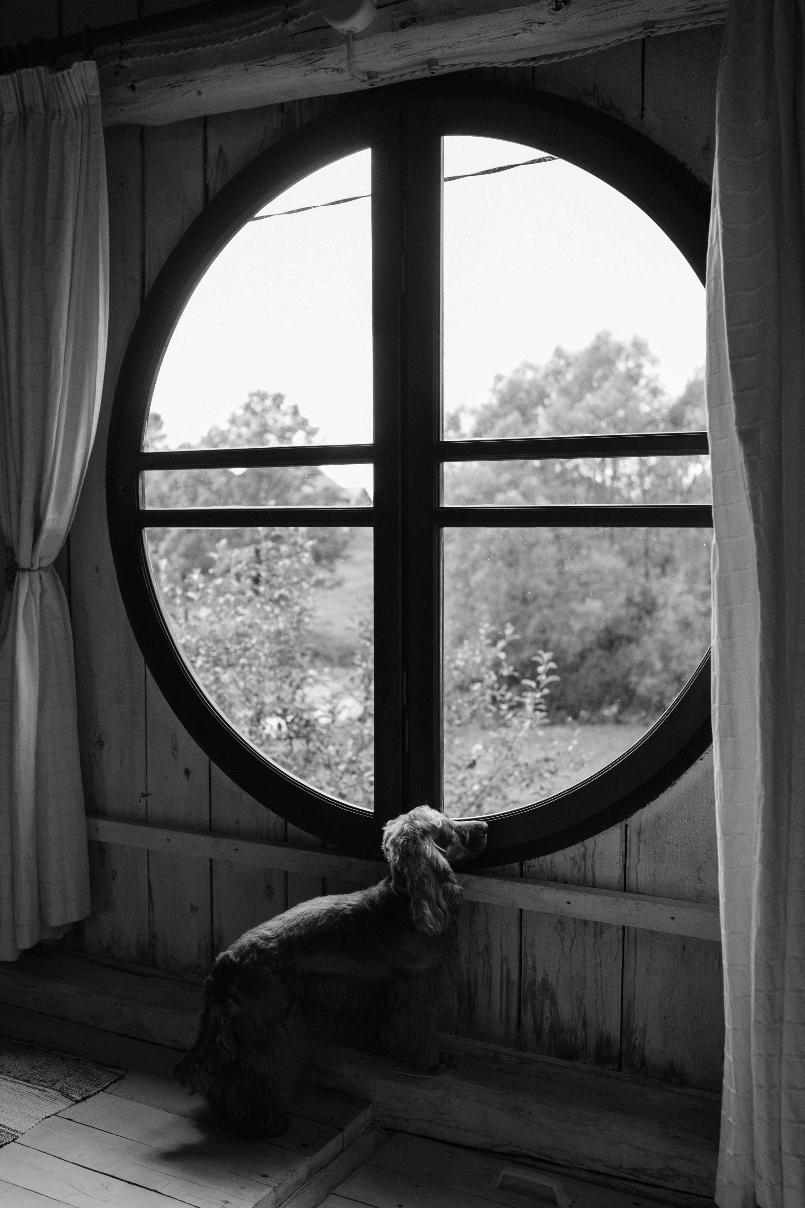 Юлія & Юрій. Весільний та сімейний фотограф у Харкові Ткаченко Світлана