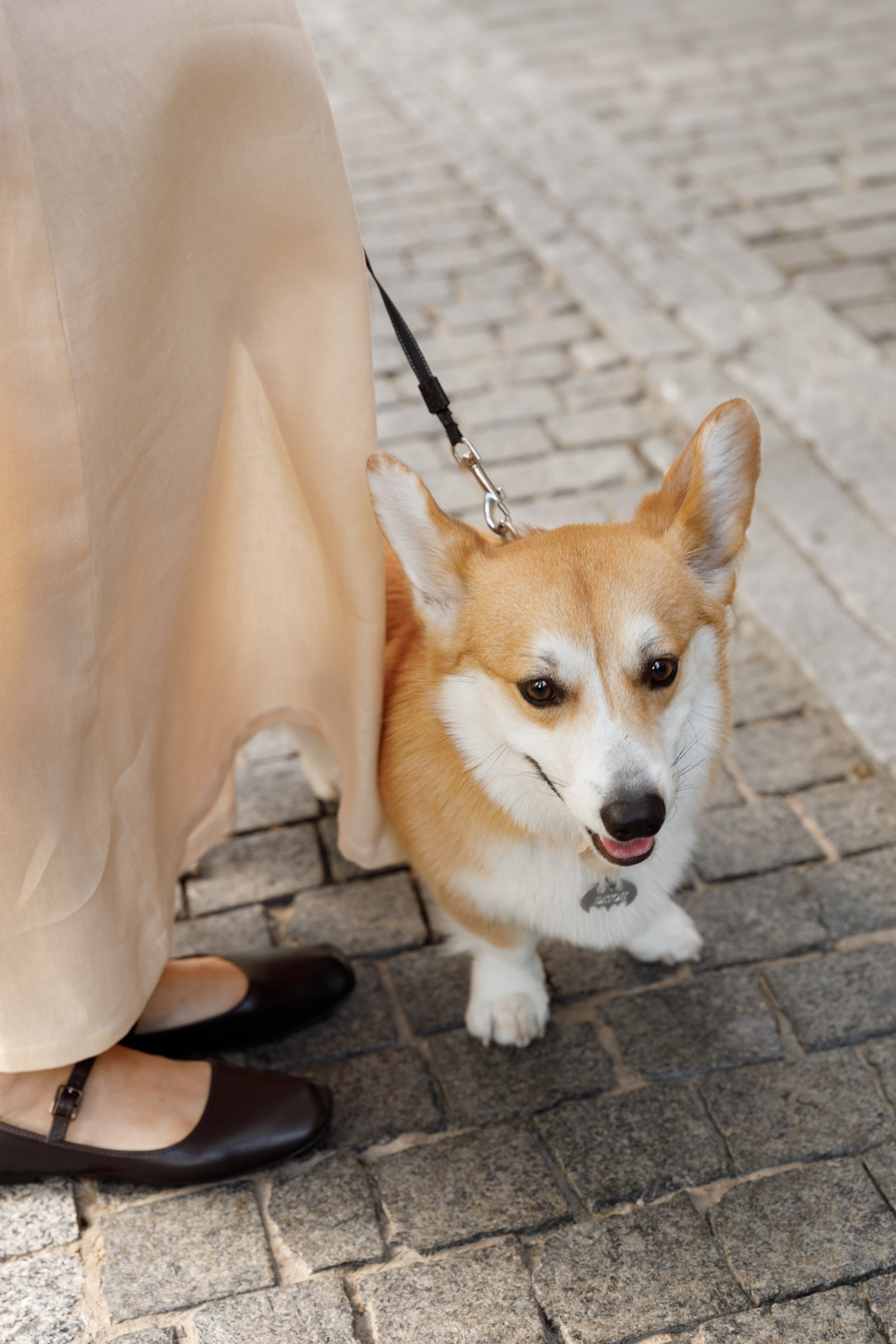 Дарʼя & Кирило. Весільний та сімейний фотограф у Харкові Ткаченко Світлана