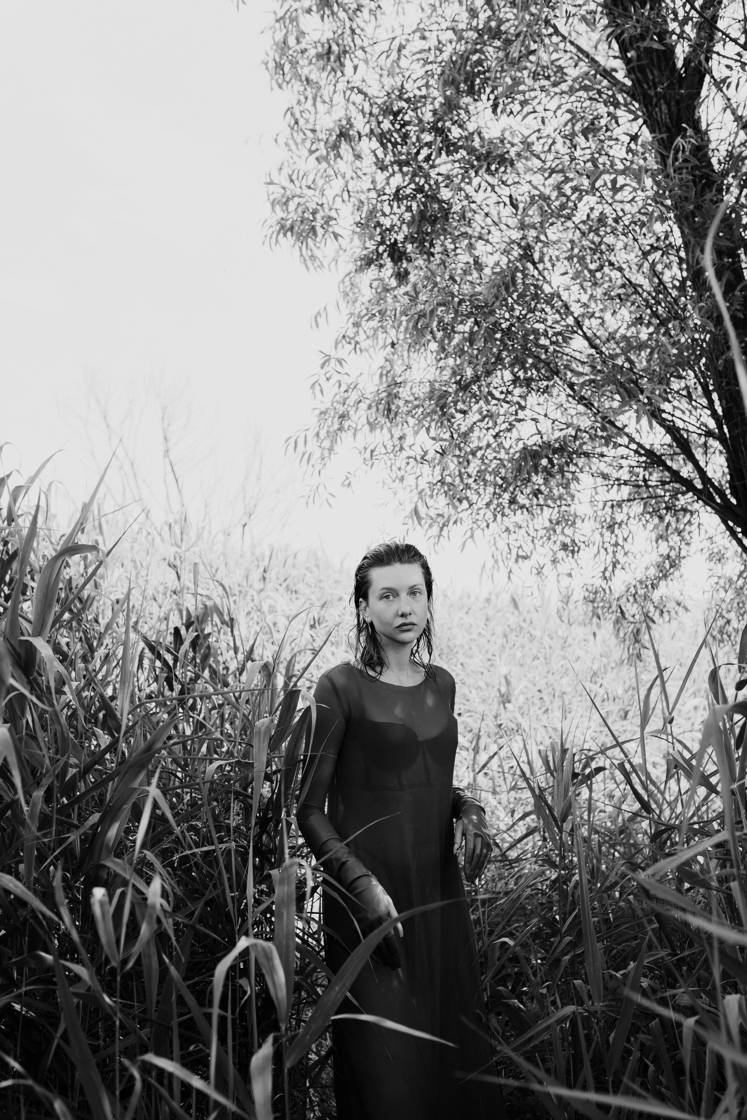 Віка. Весільний та сімейний фотограф у Харкові Ткаченко Світлана