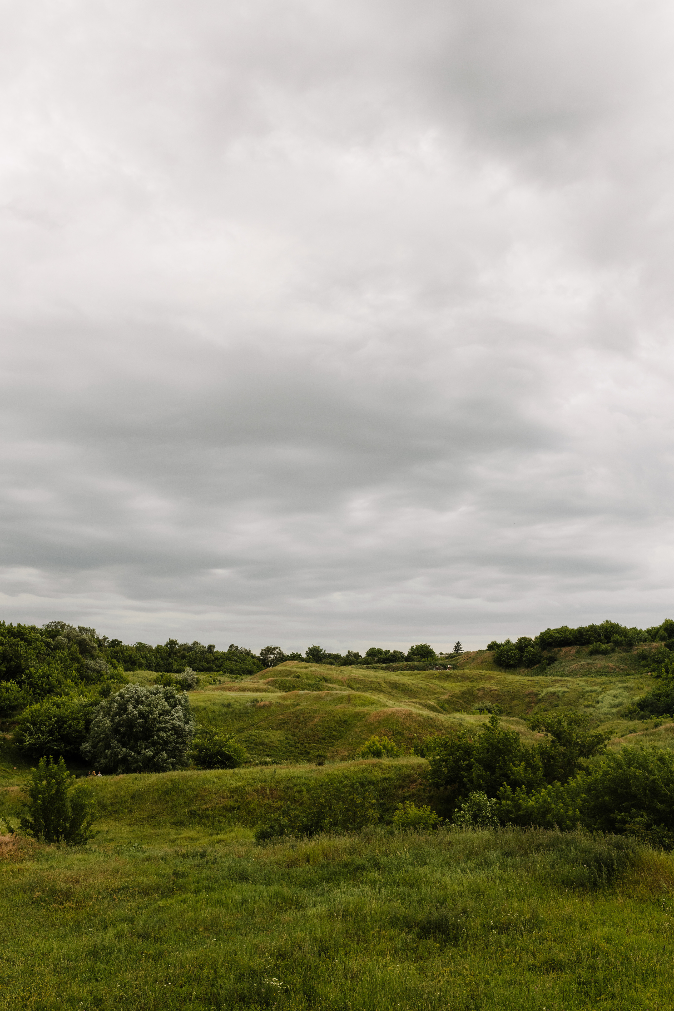 Іра. Весільний та сімейний фотограф у Харкові Ткаченко Світлана