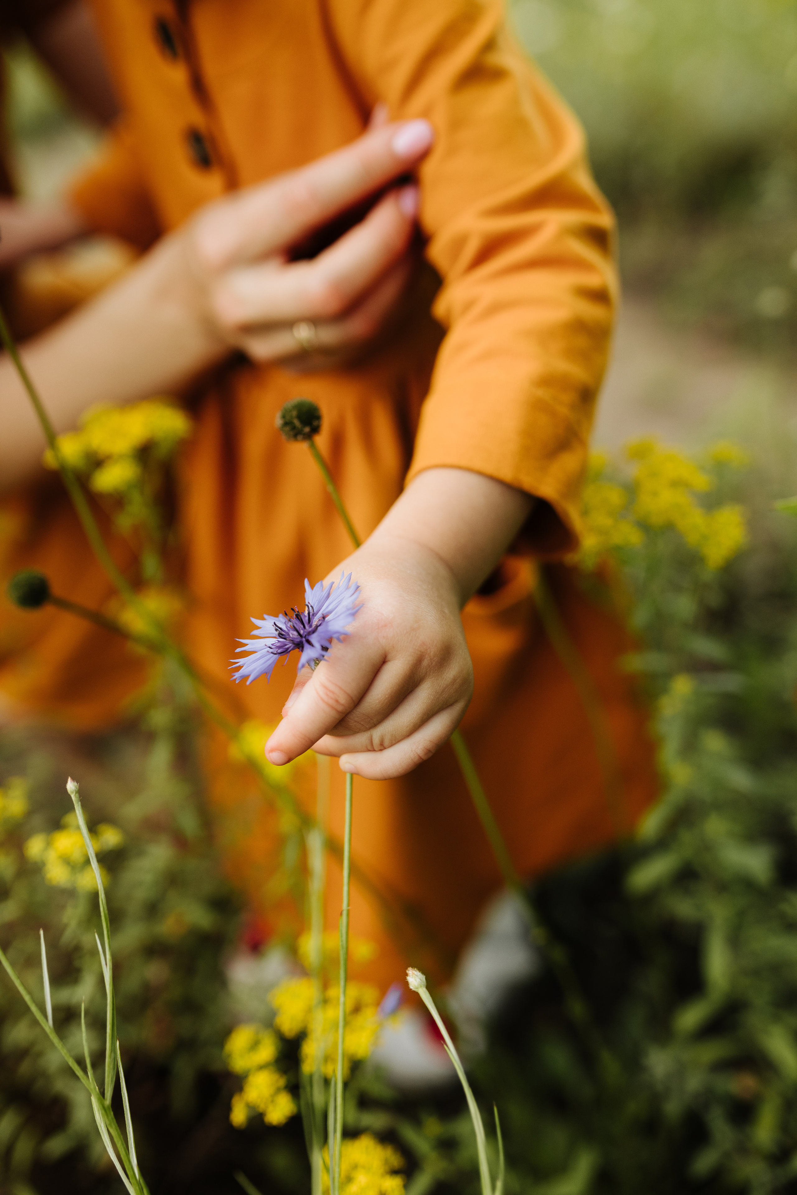 Катя & Рома & Аліса. Весільний та сімейний фотограф у Харкові Ткаченко Світлана