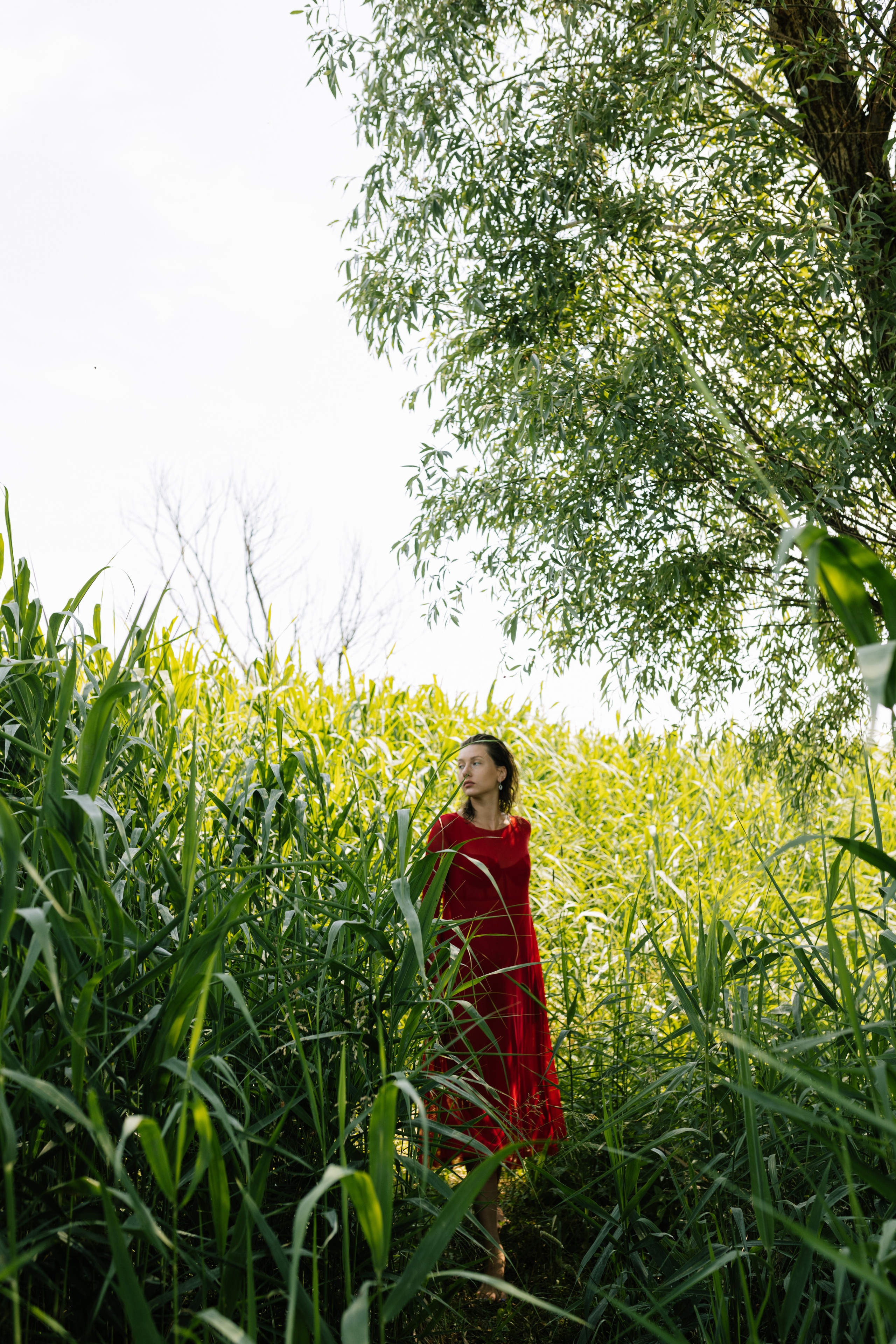 Віка. Весільний та сімейний фотограф у Харкові Ткаченко Світлана