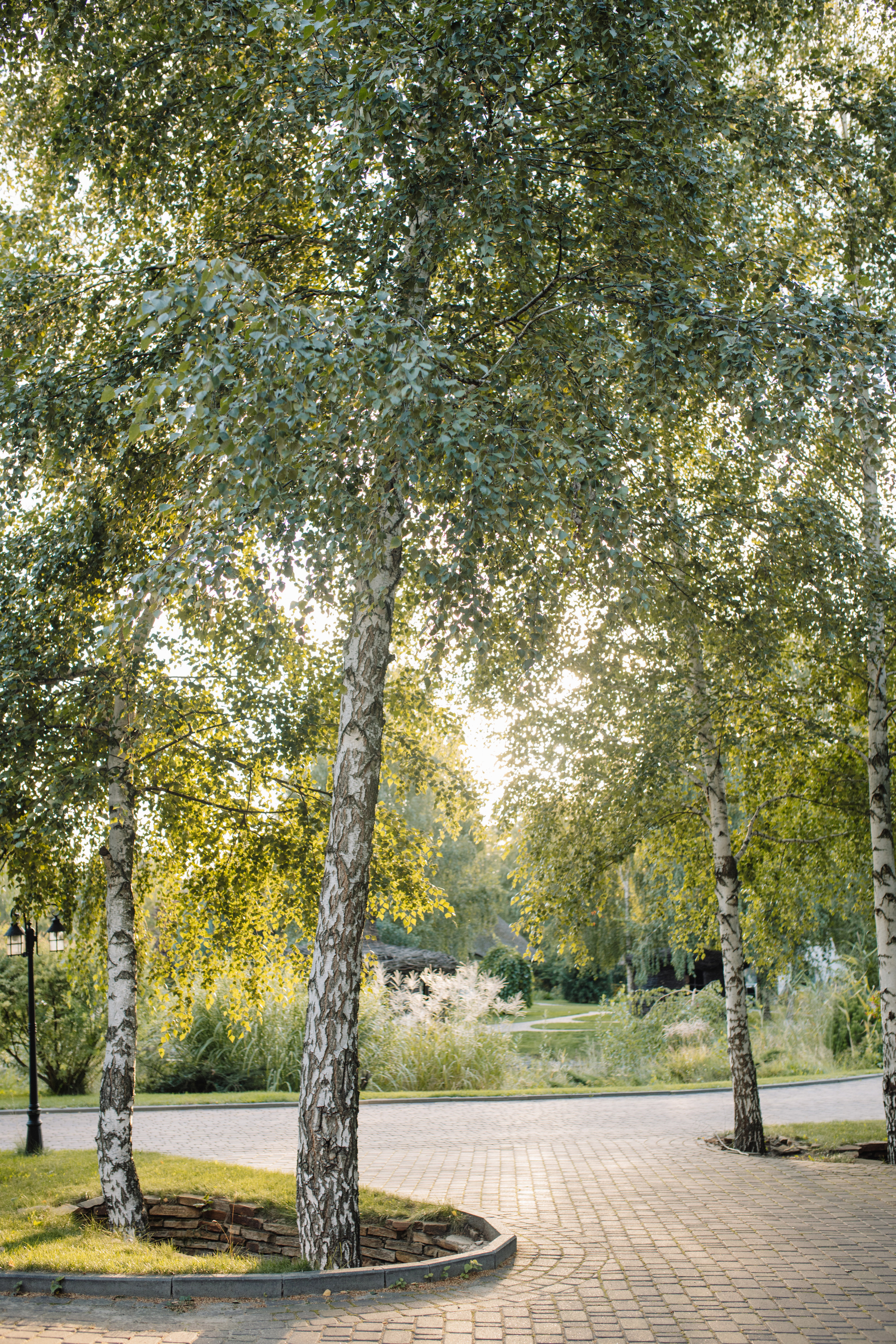 Анна & Назар. Весільний та сімейний фотограф у Харкові Ткаченко Світлана