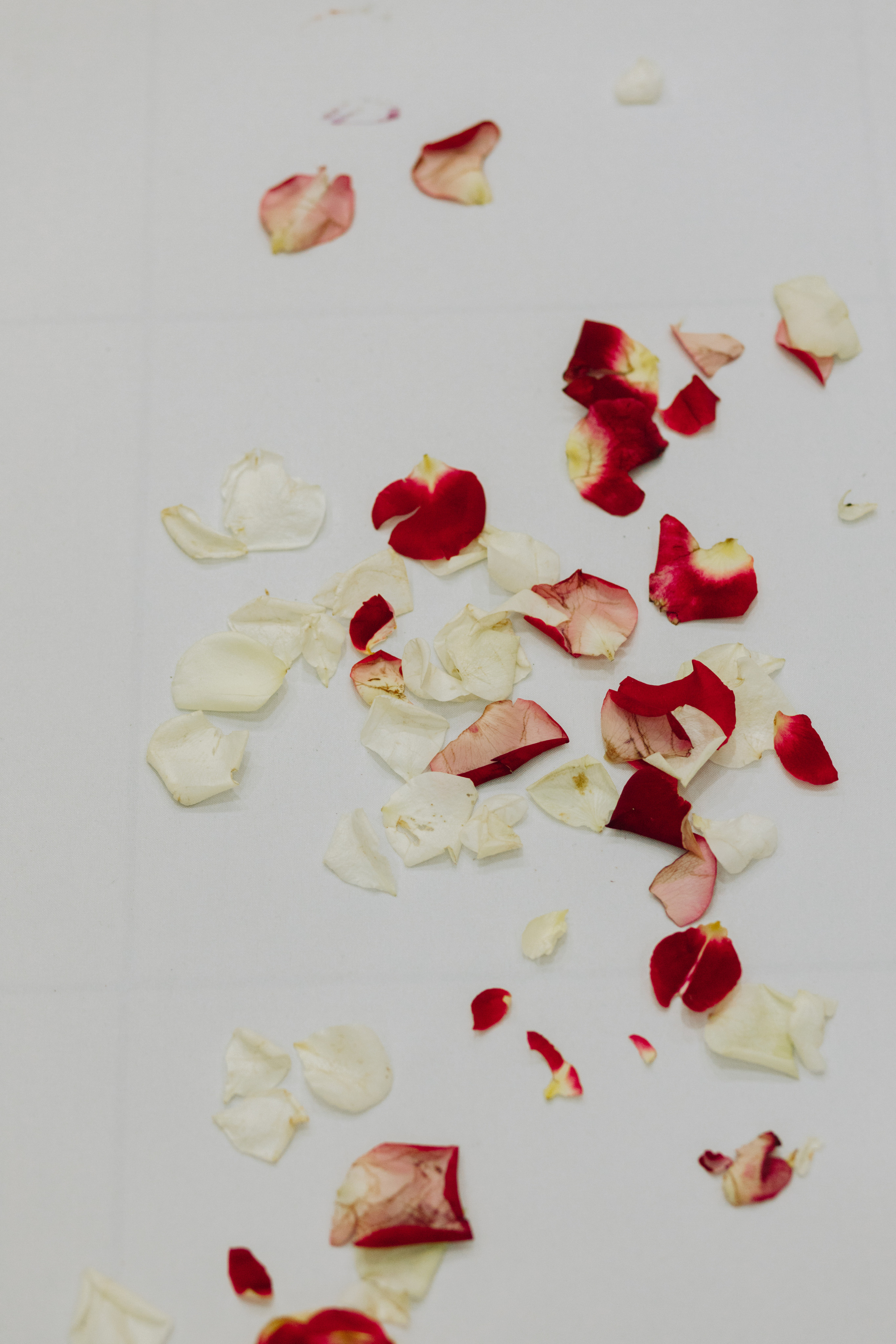 Анастасія & Дмитро. Весільний та сімейний фотограф у Харкові Ткаченко Світлана