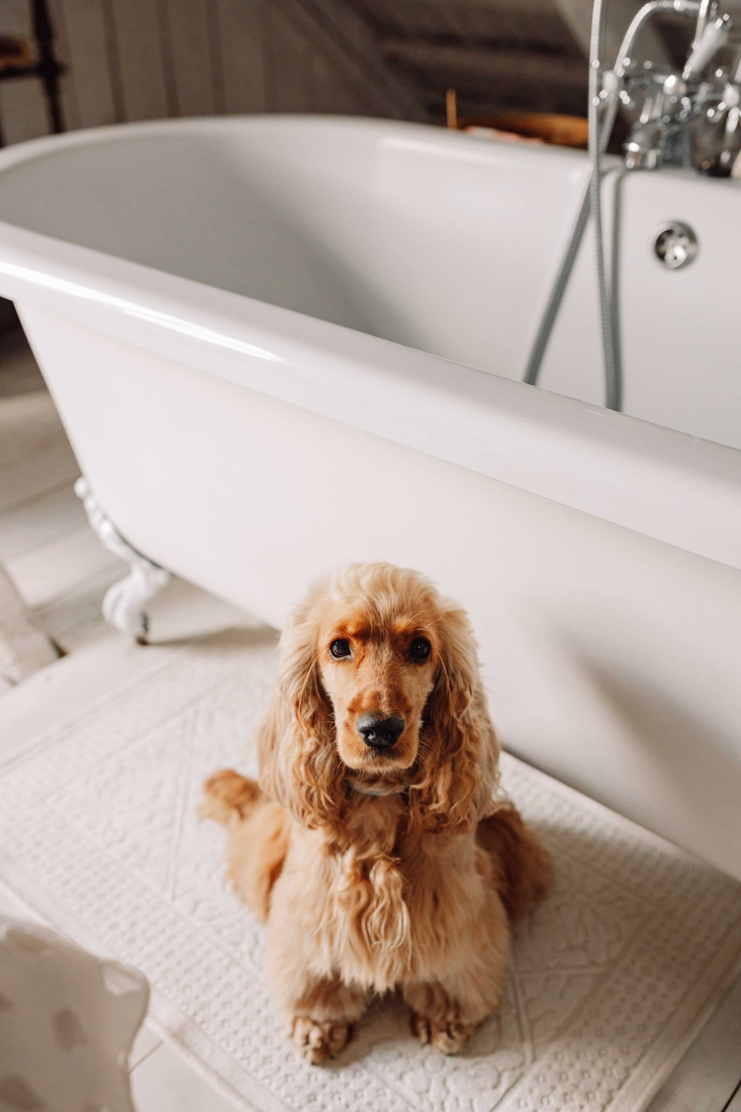 Юлія & Юрій. Весільний та сімейний фотограф у Харкові Ткаченко Світлана