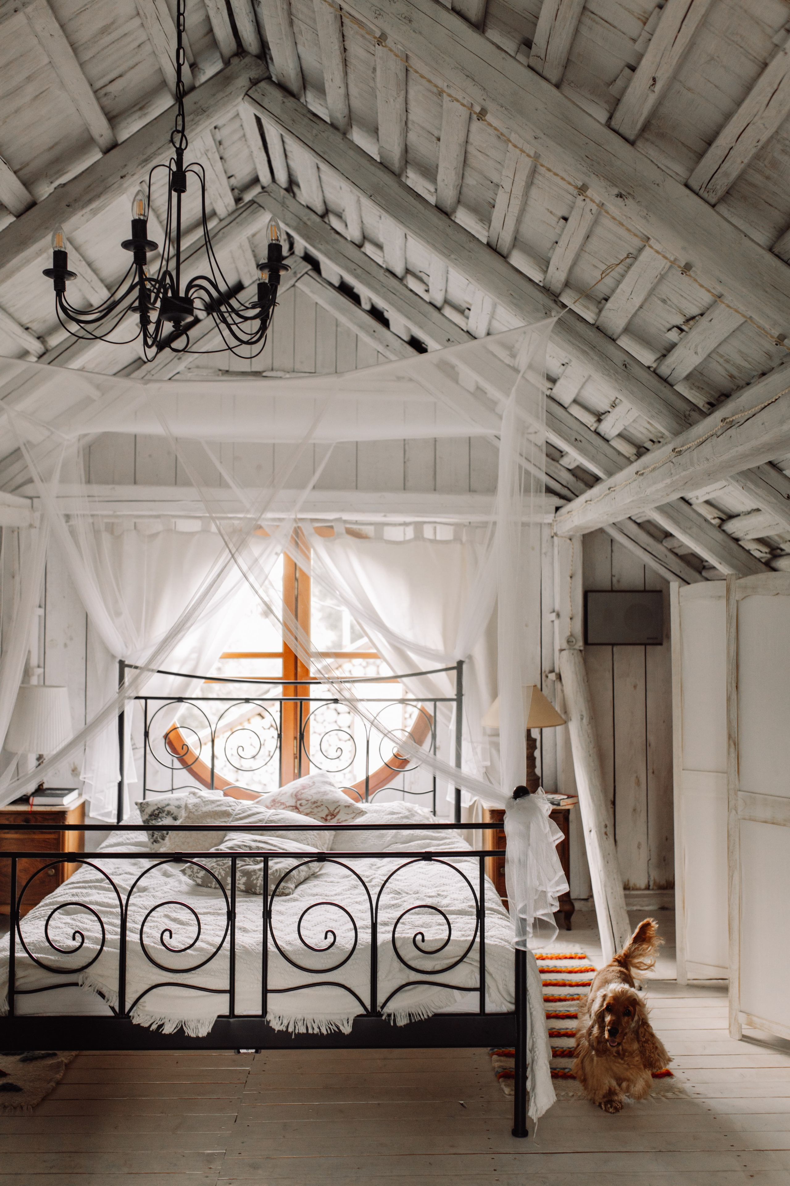 Юлія & Юрій. Весільний та сімейний фотограф у Харкові Ткаченко Світлана