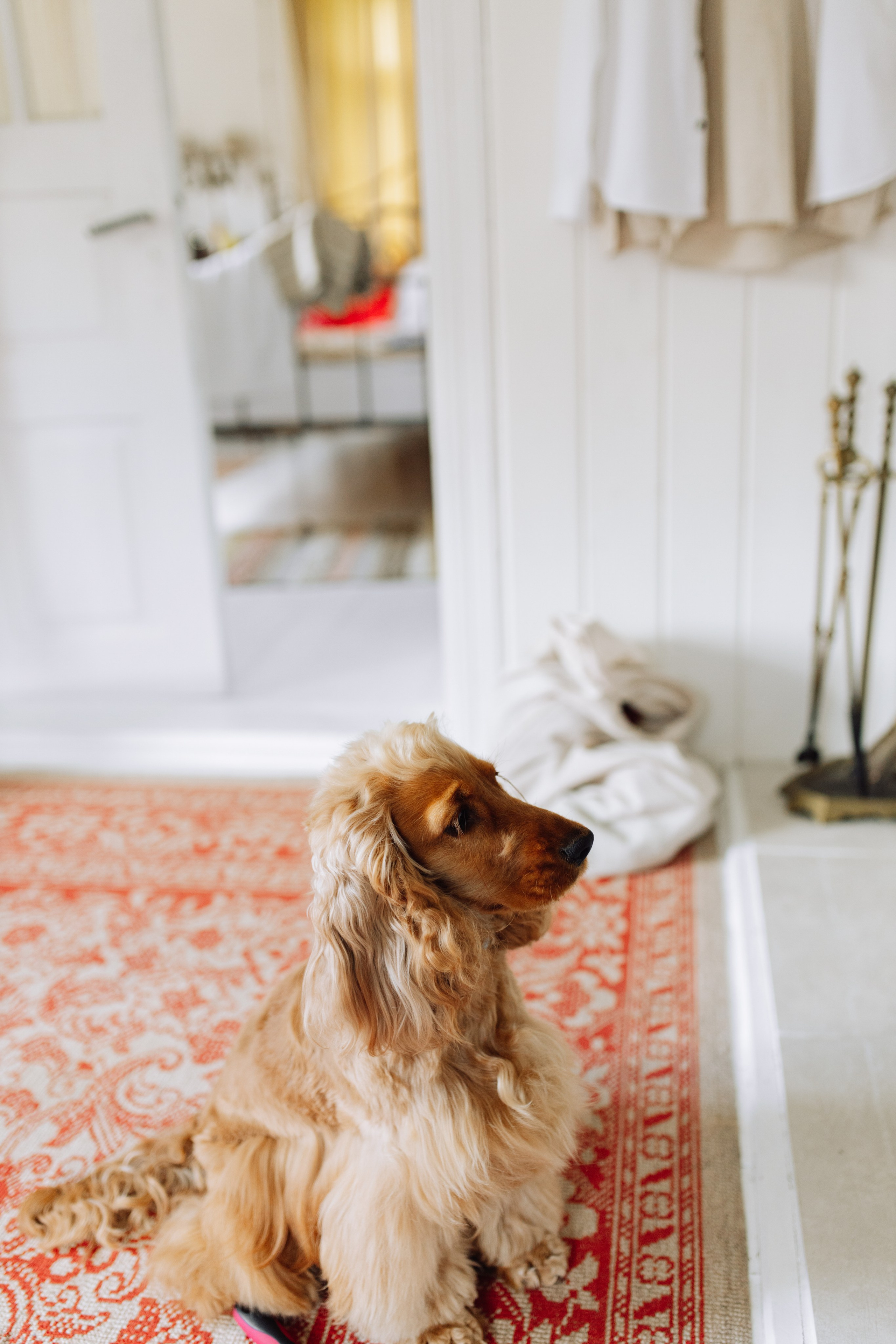 Юлія & Юрій. Весільний та сімейний фотограф у Харкові Ткаченко Світлана