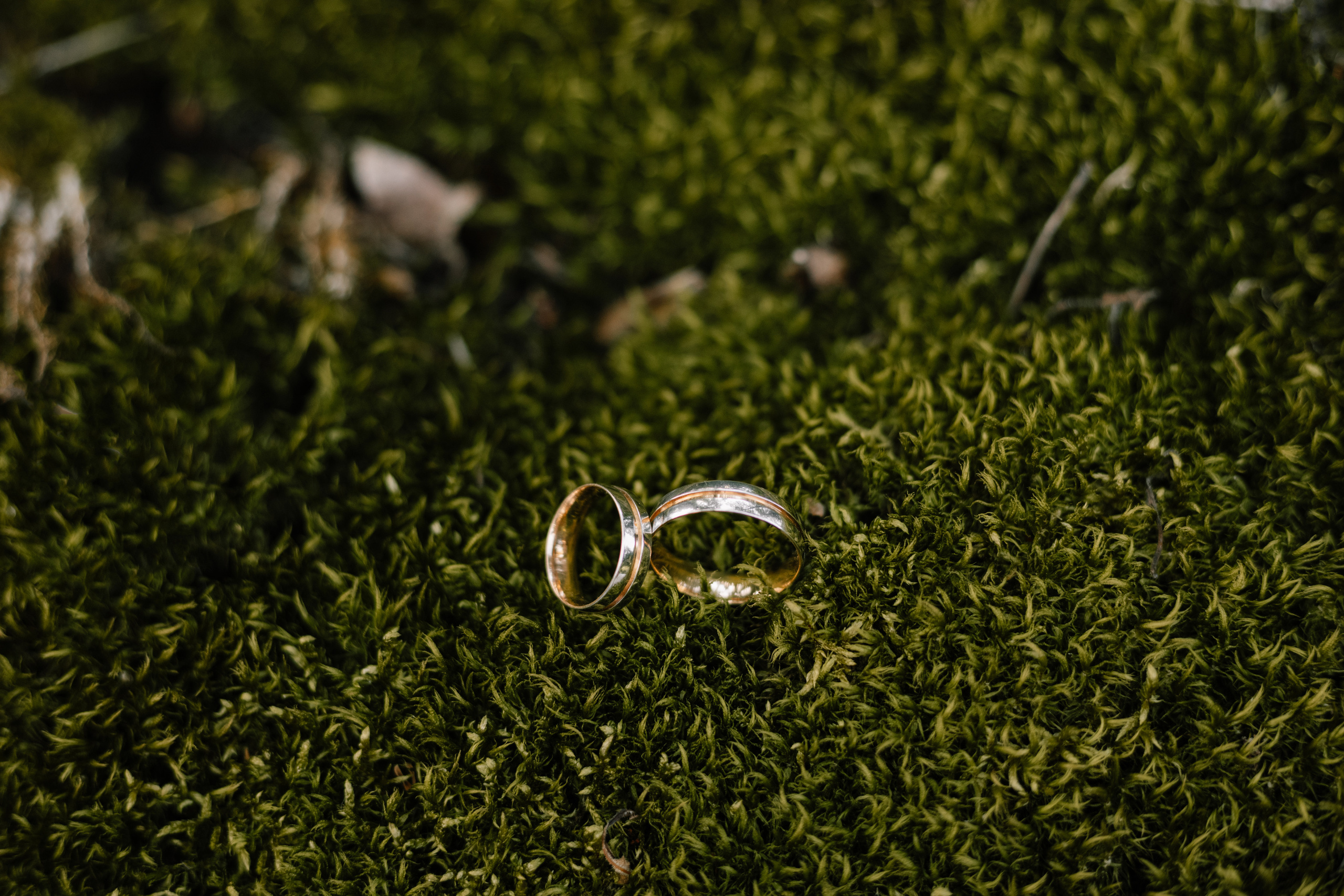 Настя & Влад. Весільний та сімейний фотограф у Харкові Ткаченко Світлана