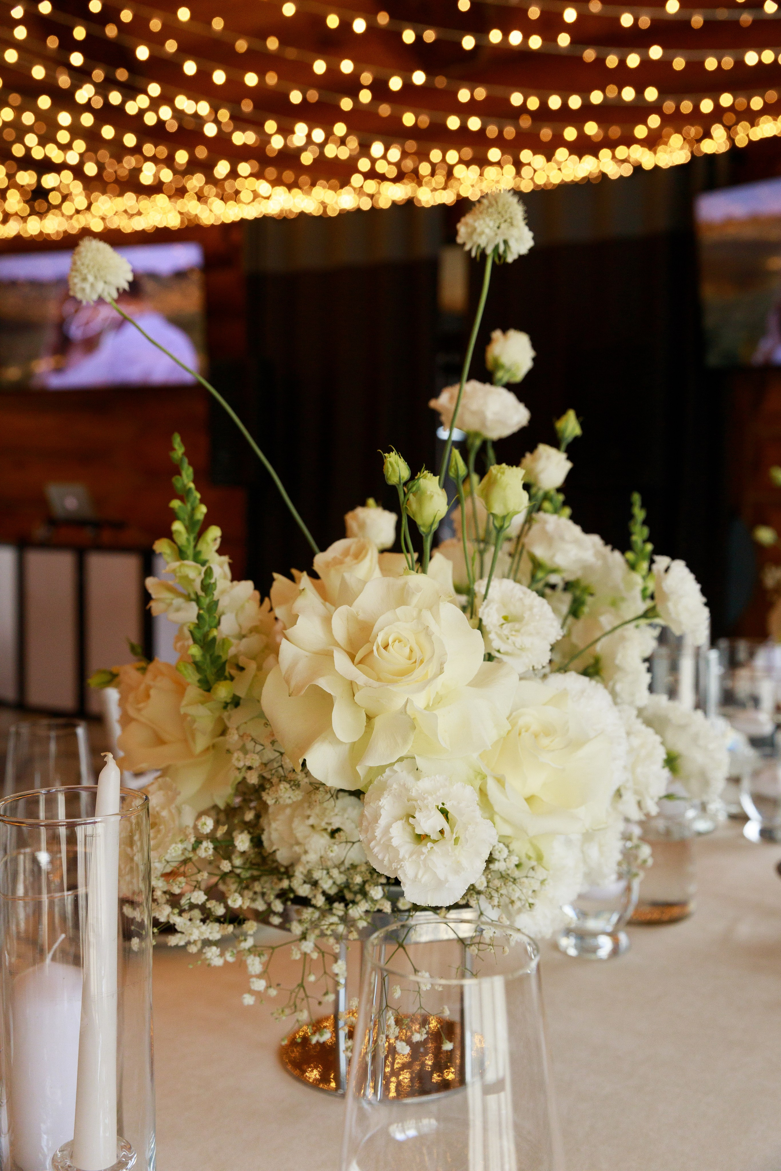 Дарина & Тимур. Весільний та сімейний фотограф у Харкові Ткаченко Світлана