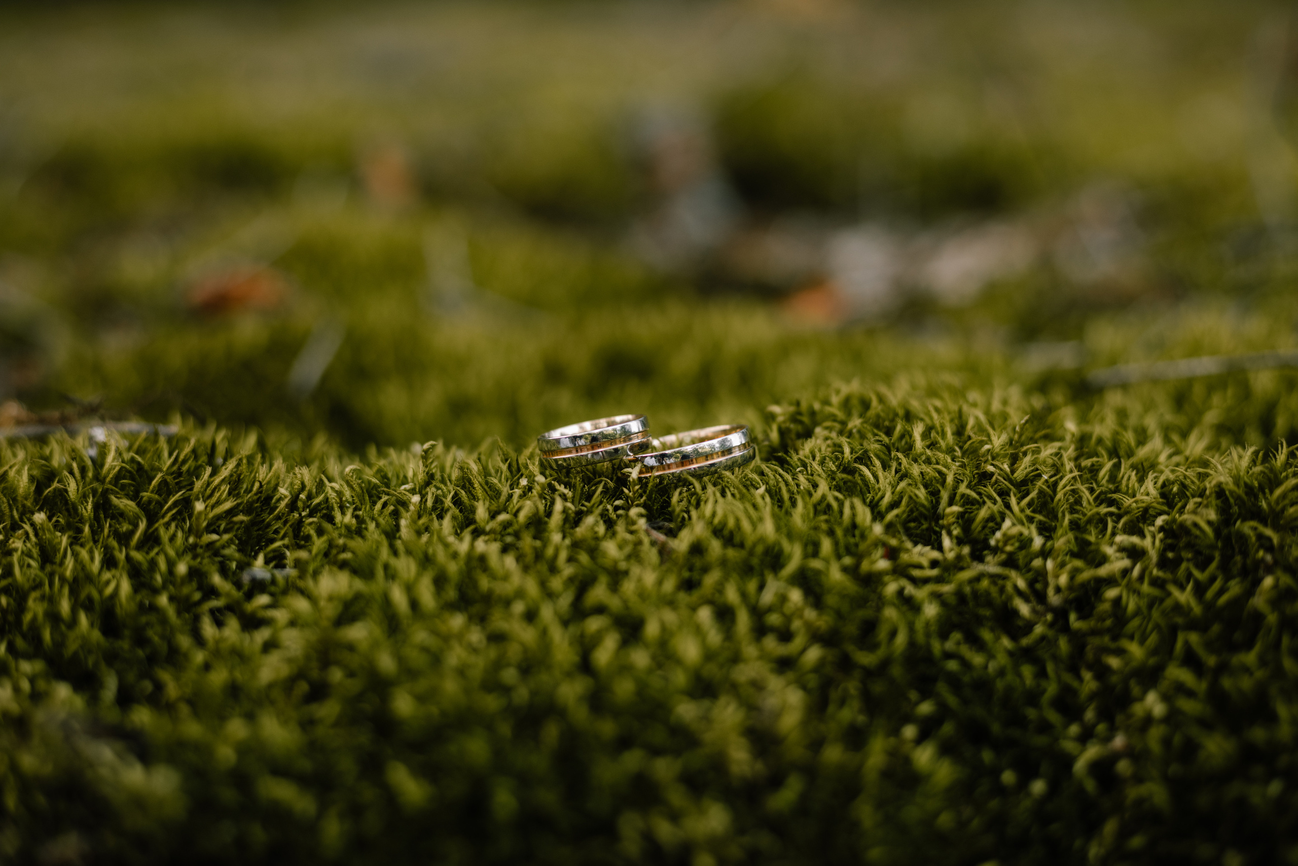 Настя & Влад. Весільний та сімейний фотограф у Харкові Ткаченко Світлана